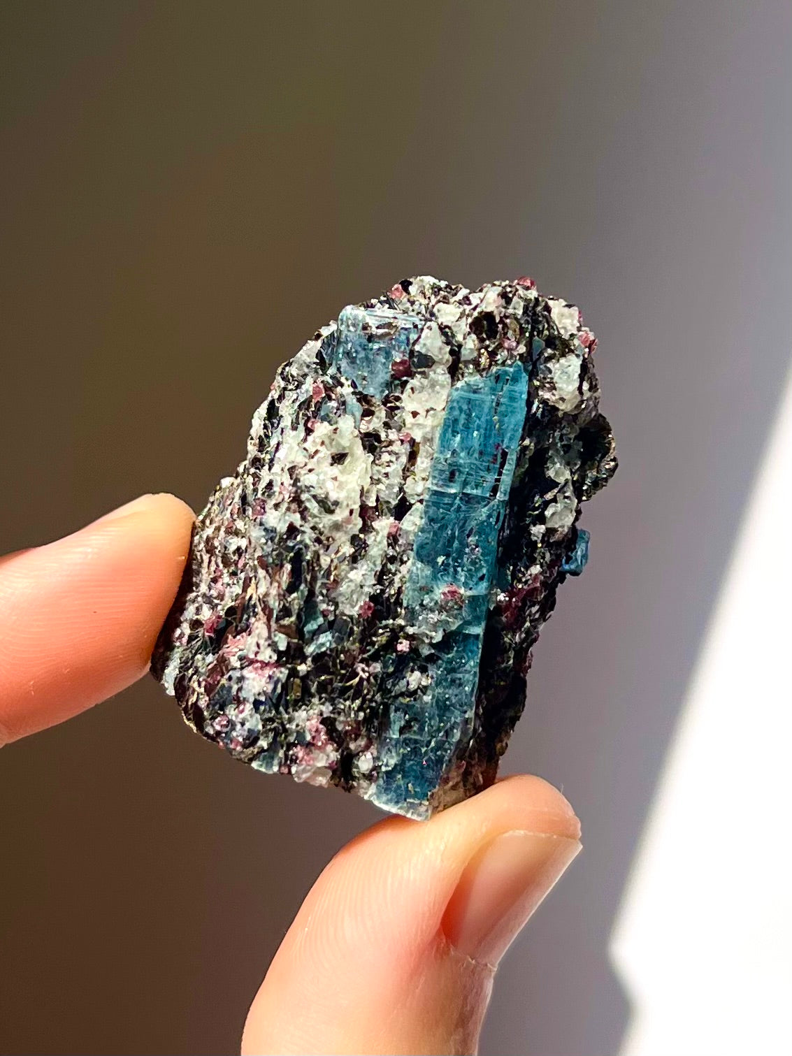 Spécimen Cyanite / Grenat / Biotite / Albite / Quartz 3