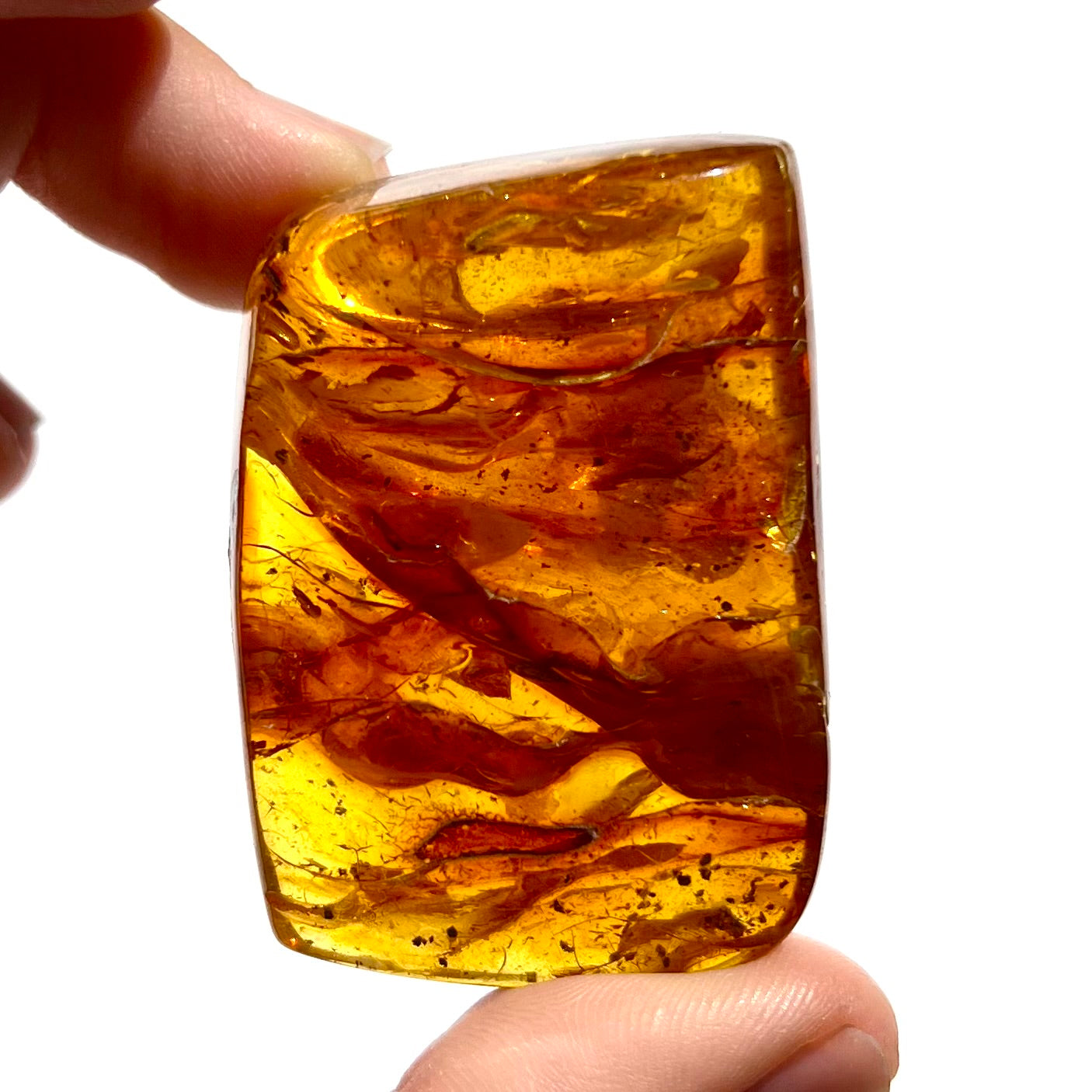 Ambre 4
