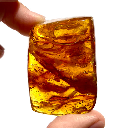 Ambre 4