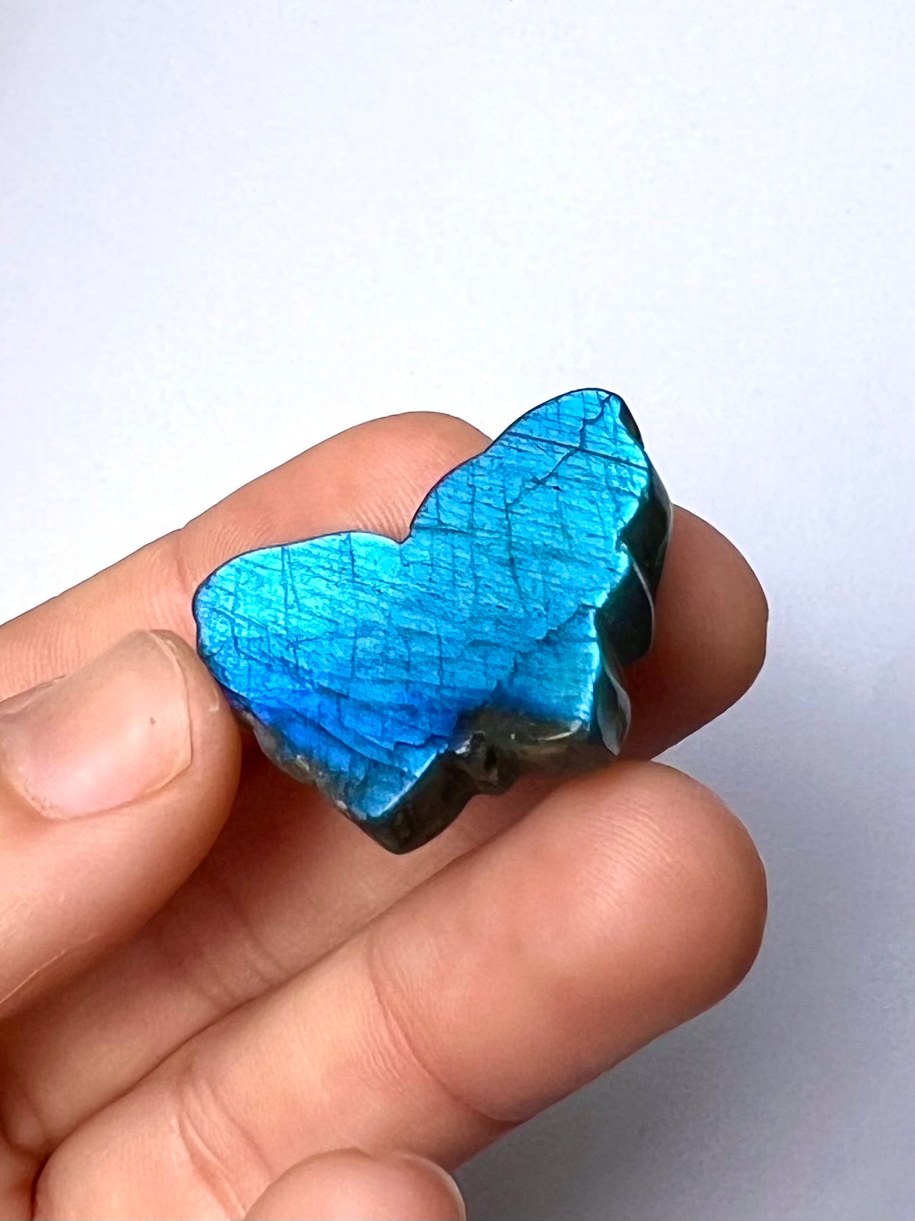 Papillon en Labradorite 1