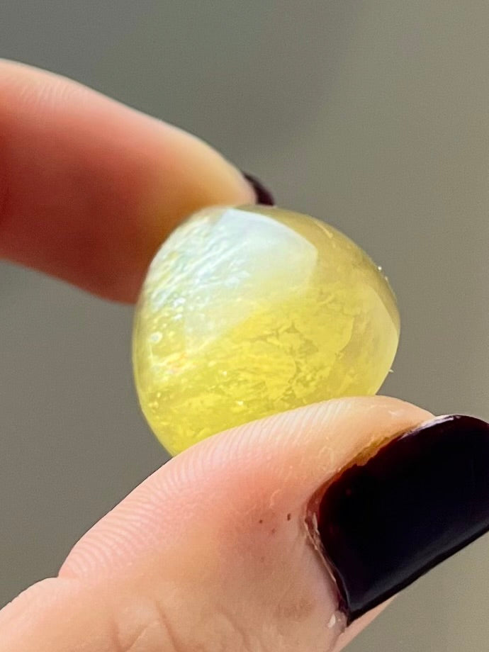 Goutte en Muscovite 9