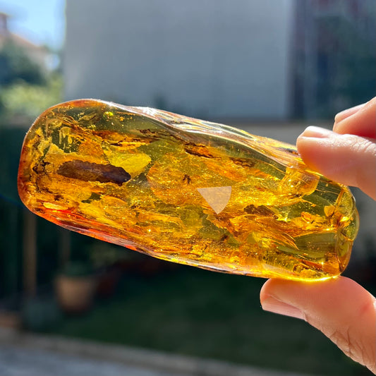 Ambre avec insecte 2