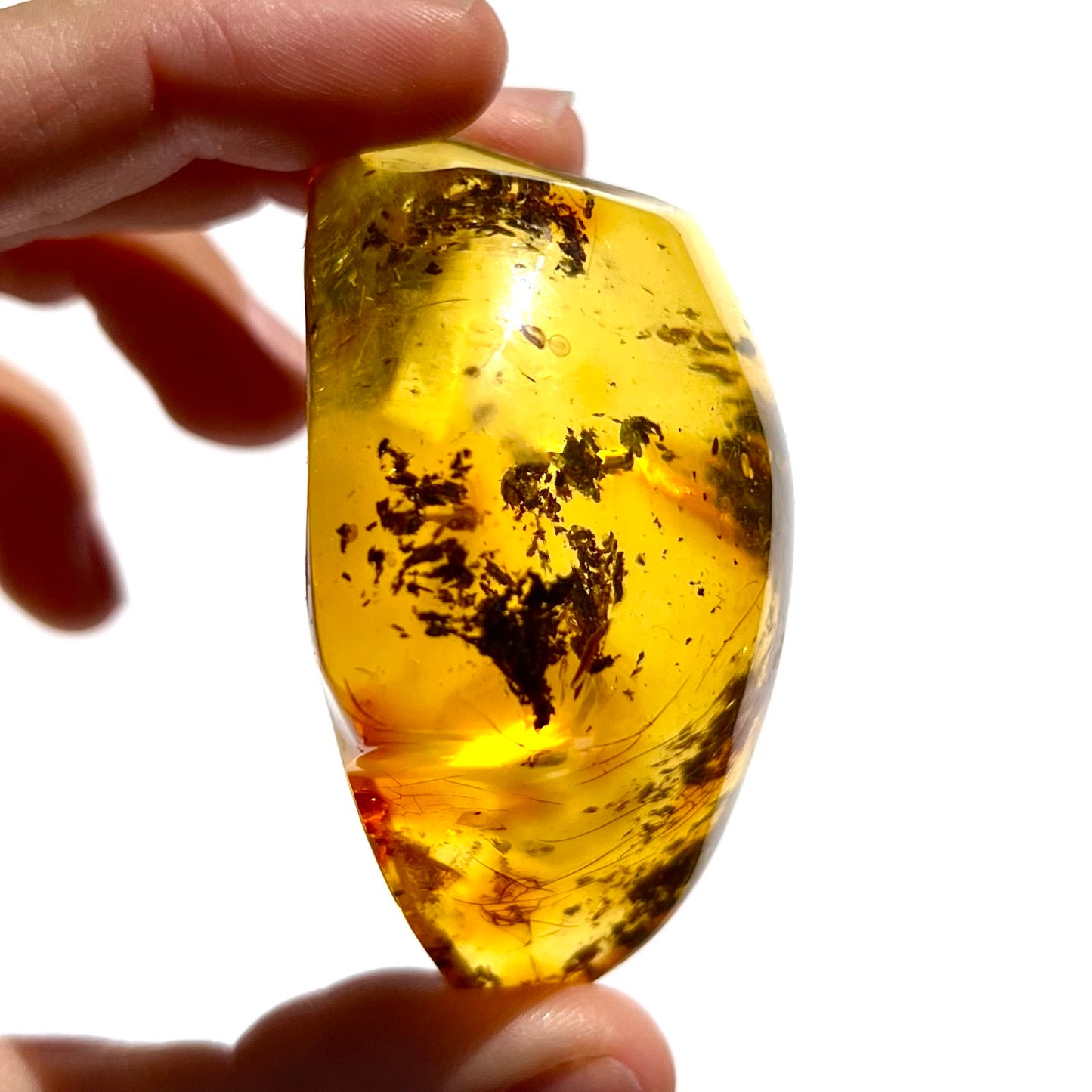 Ambre 3