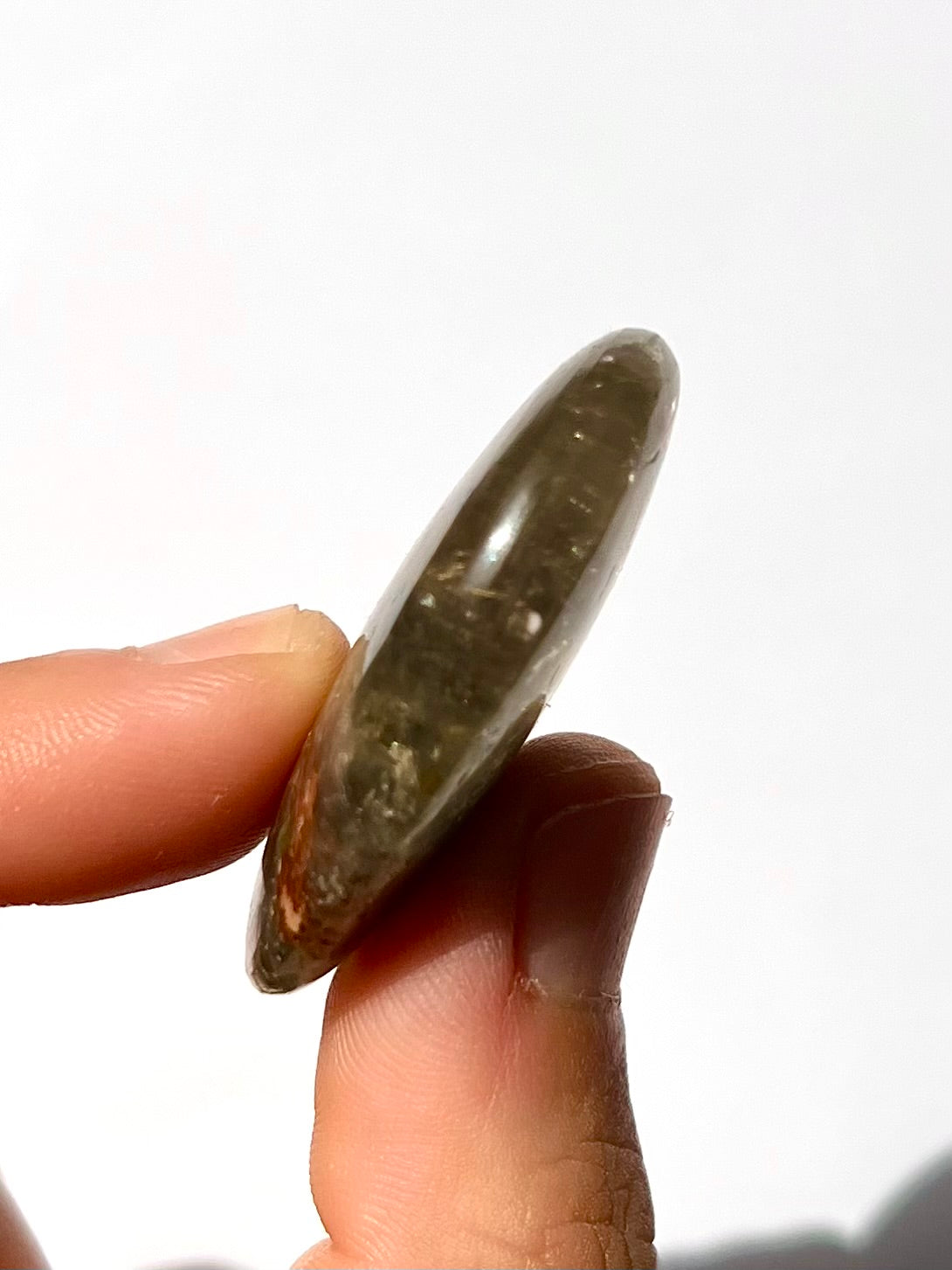 Galet de Lodolite / Quartz jardin 5