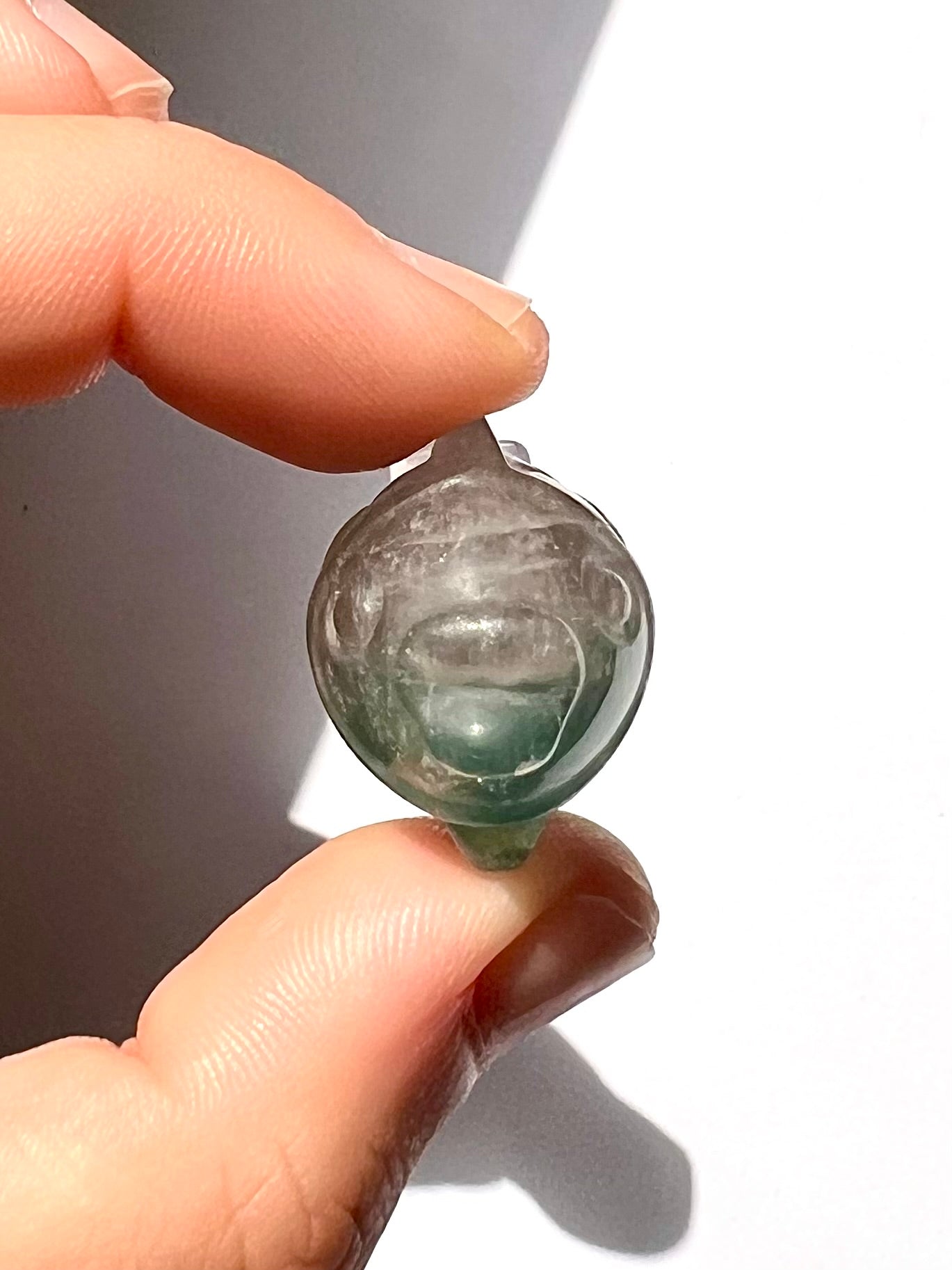 Poisson de Fluorite 3