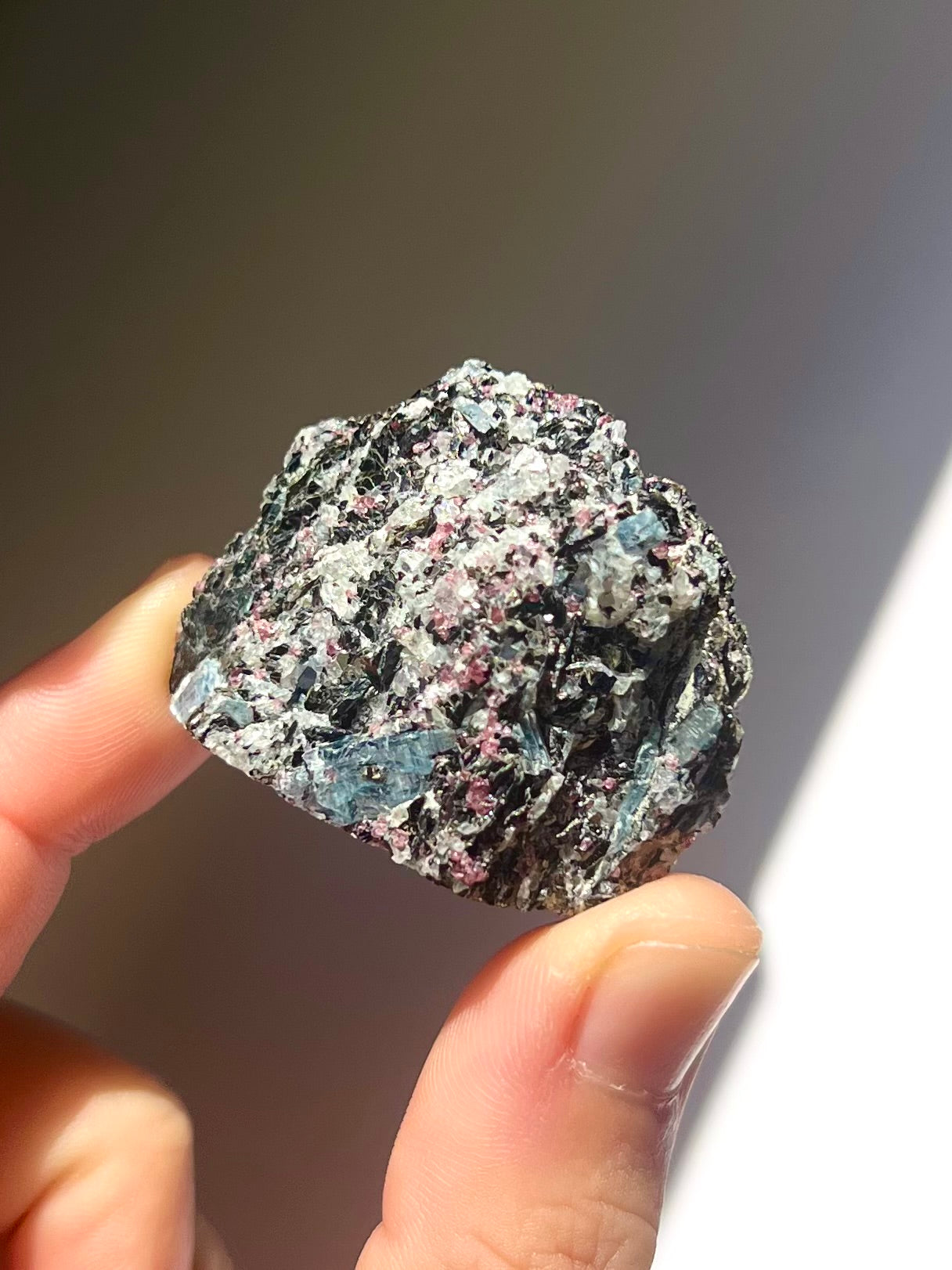 Spécimen Cyanite / Grenat / Biotite / Albite / Quartz 10
