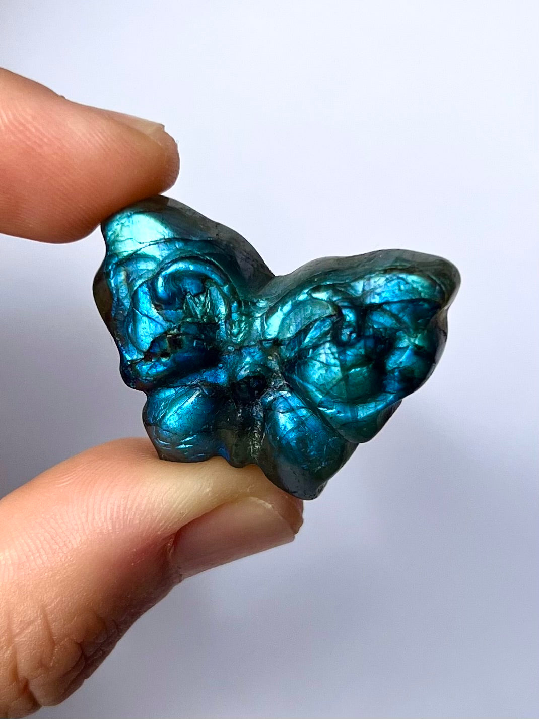Papillon en Labradorite 4