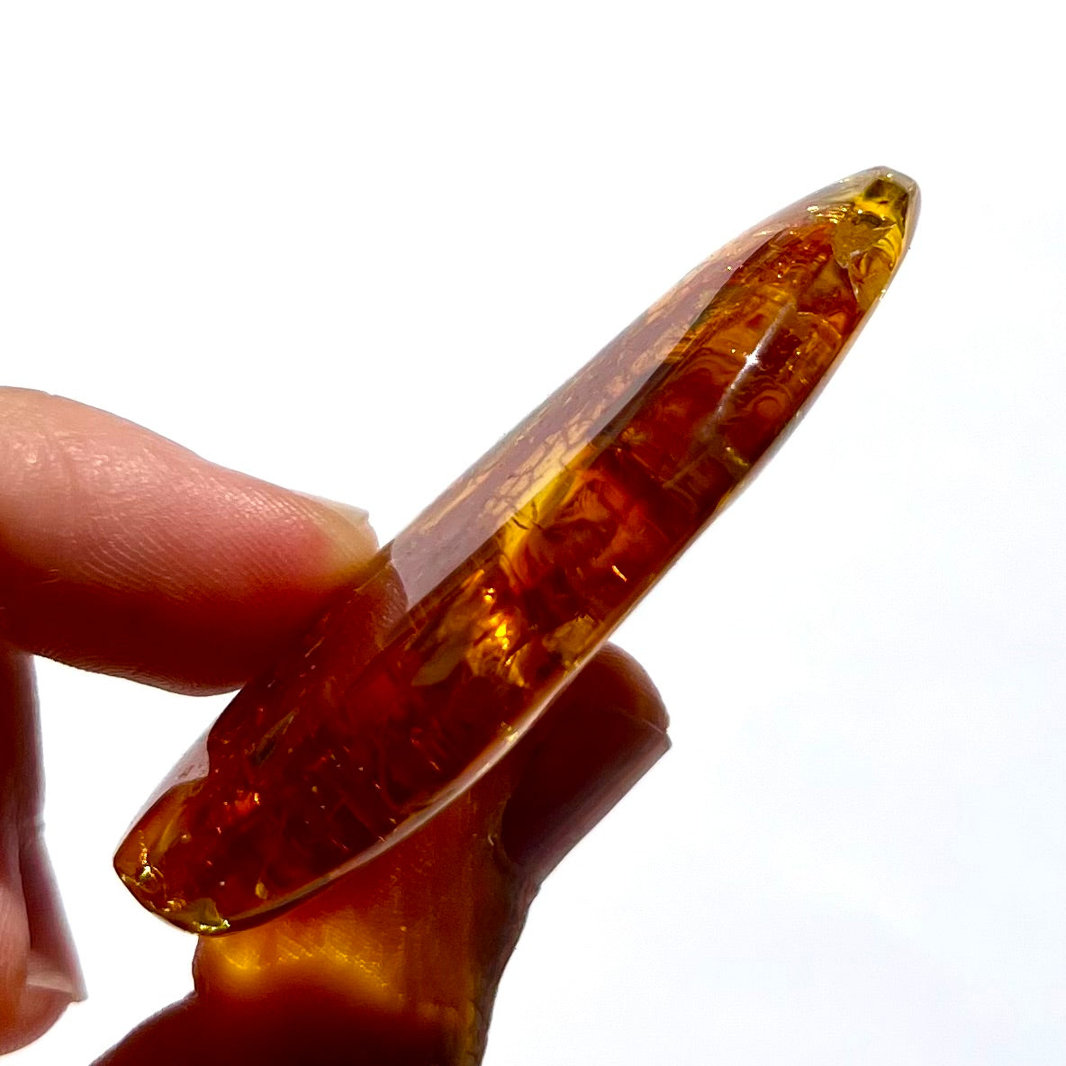 Ambre avec insecte 4