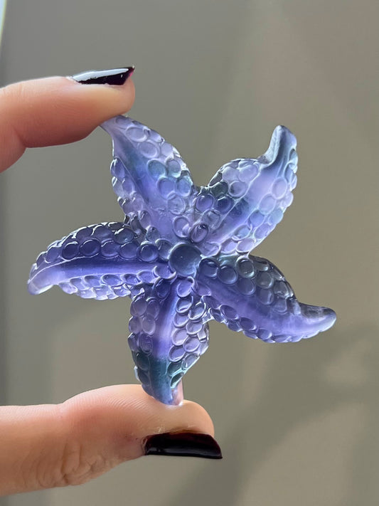 Étoile de mer en Fluorite 5