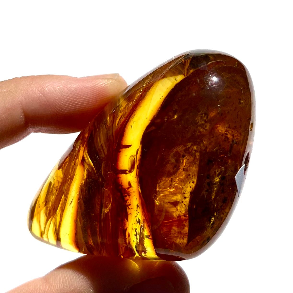 Ambre avec insecte 5