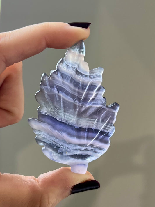 Feuille en Fluorite 5
