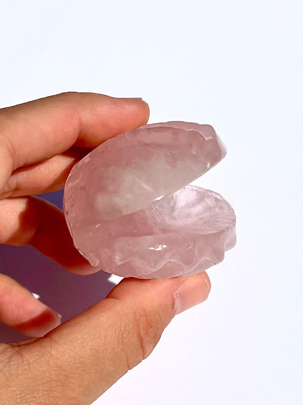 Coquillage en Quartz rose 1