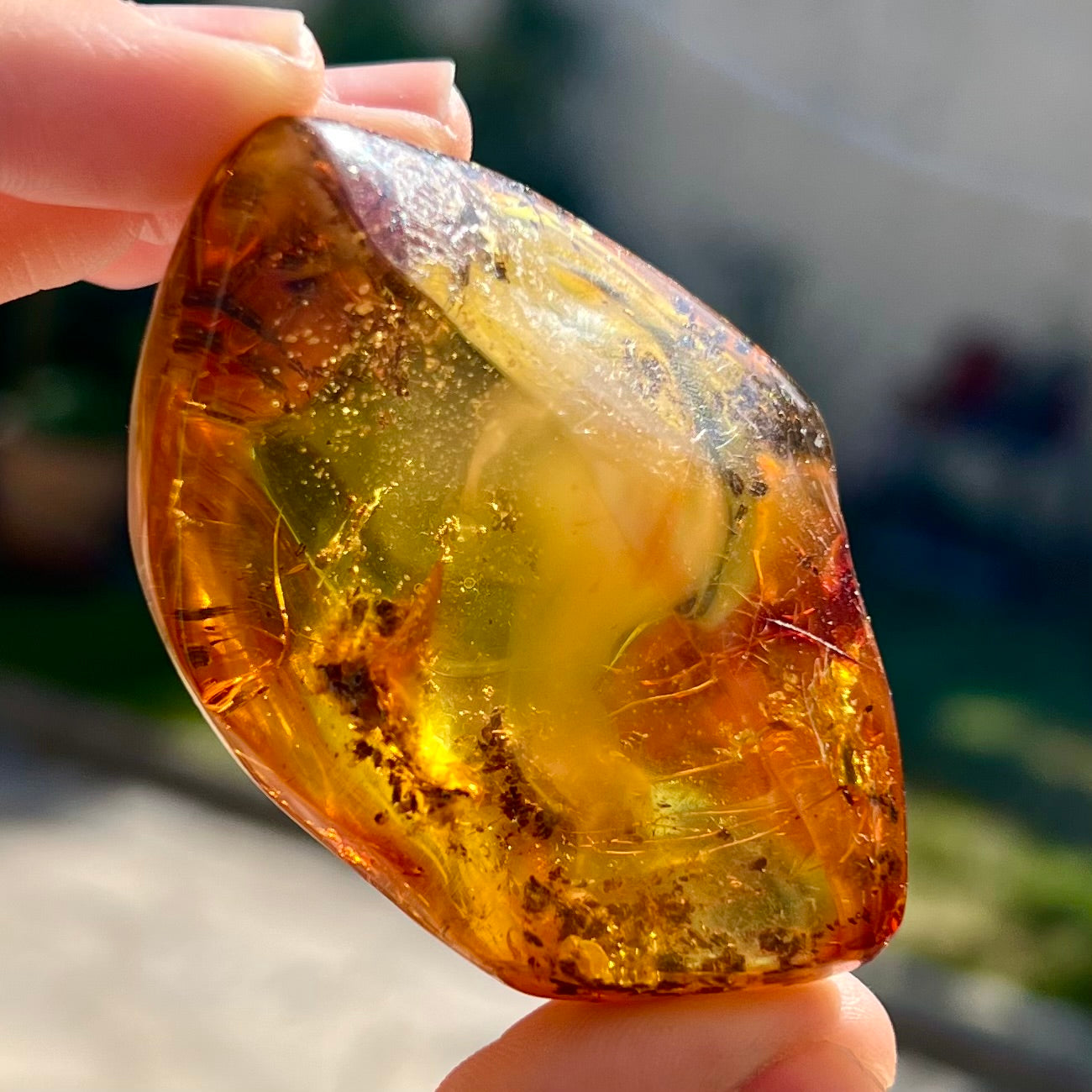 Ambre 3
