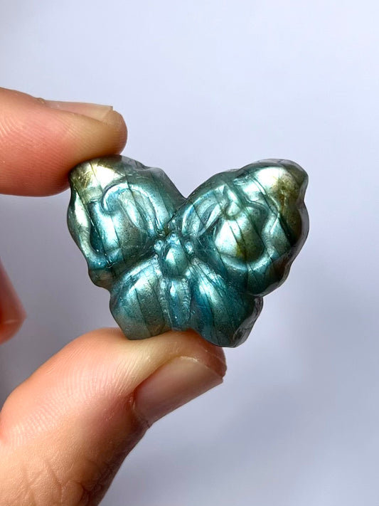 Papillon en Labradorite 6