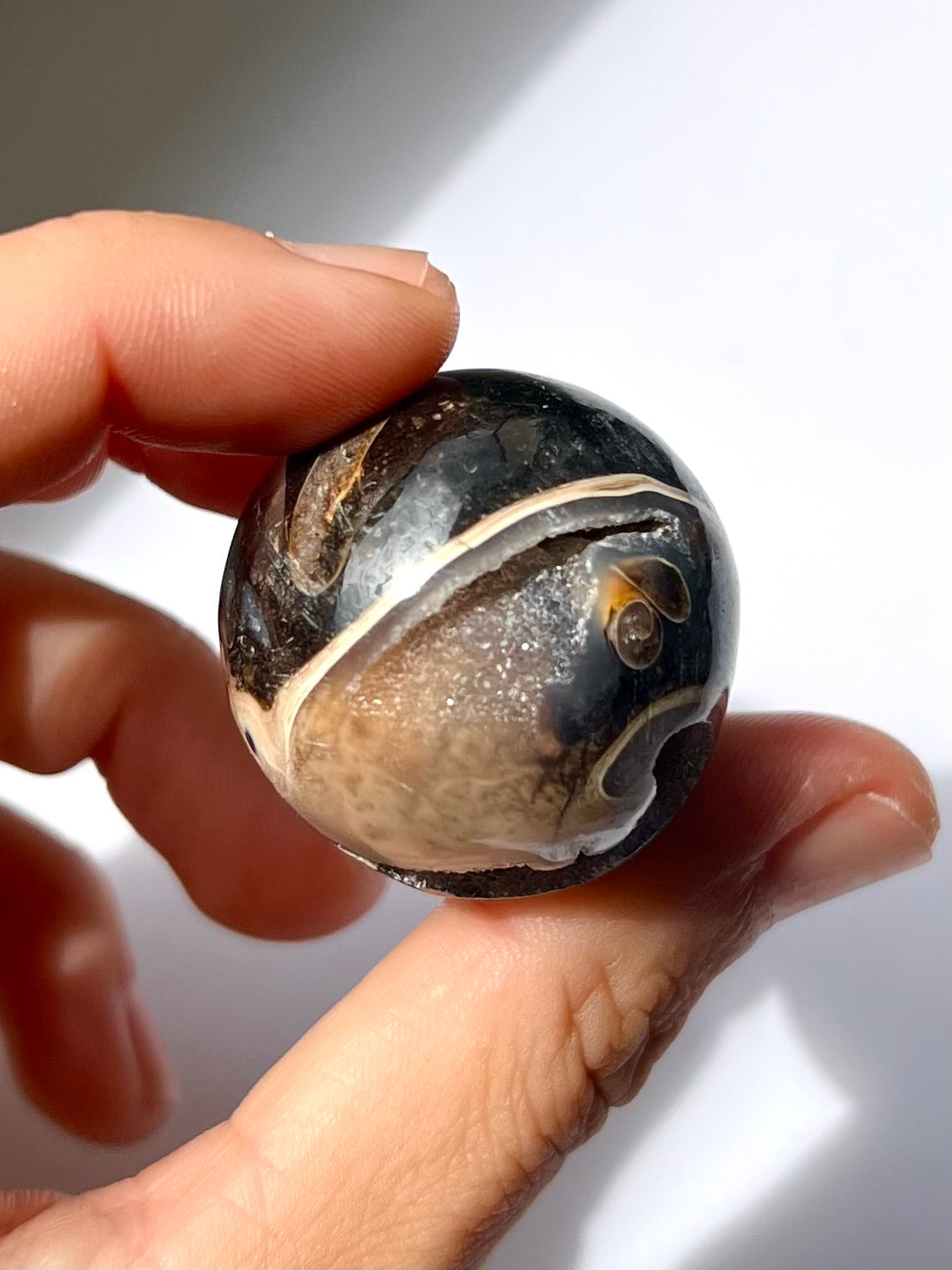 Sphère de Fossile / Agate Turitelle 2
