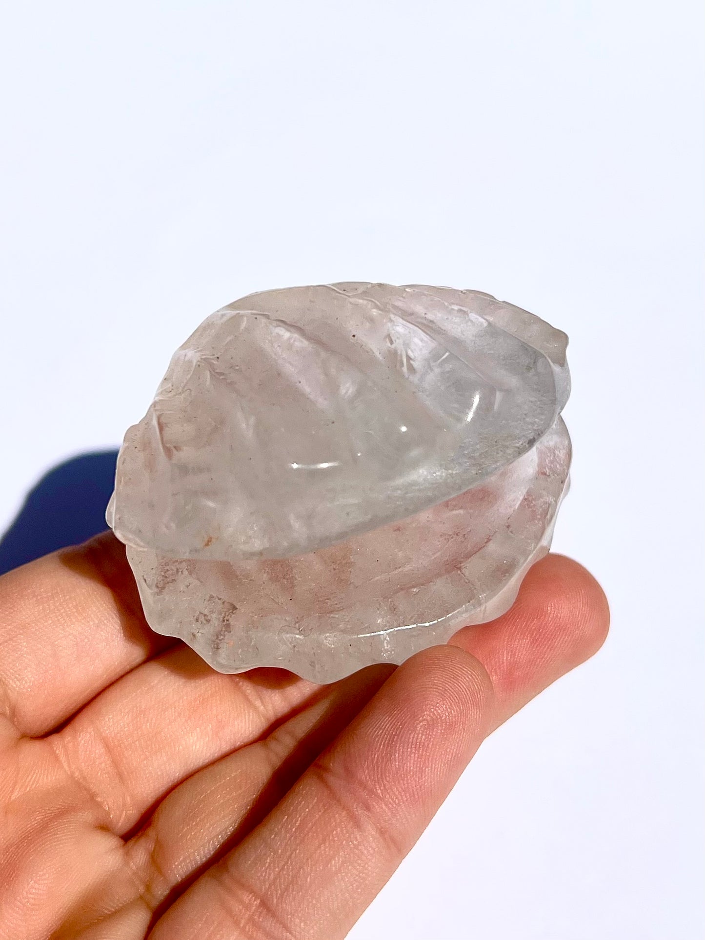 Coquillage en Cristal de roche 1
