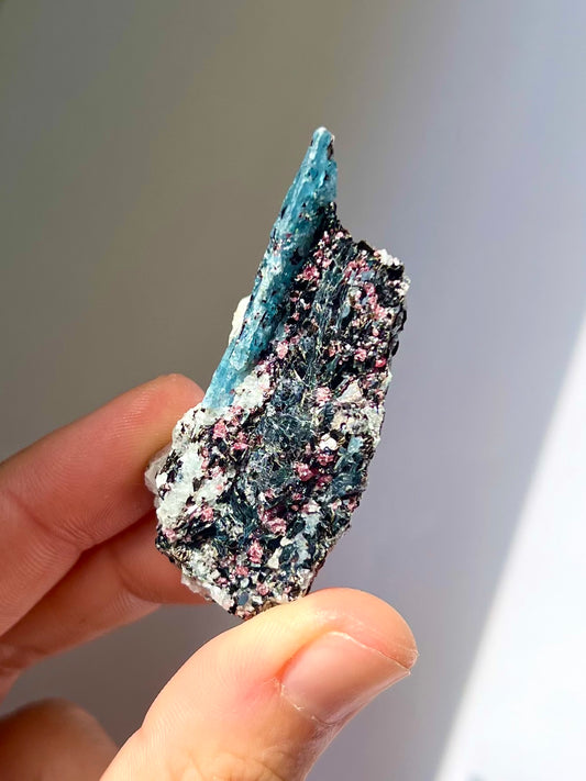 Spécimen Cyanite / Grenat / Biotite / Albite / Quartz 6
