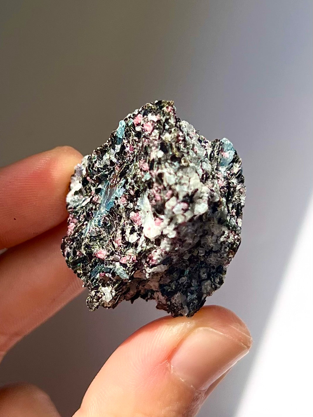 Spécimen Cyanite / Grenat / Biotite / Albite / Quartz 8