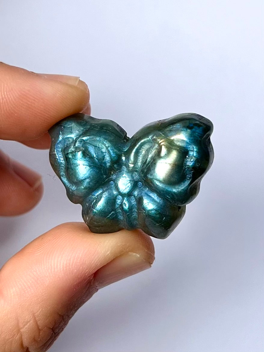 Papillon en Labradorite 7