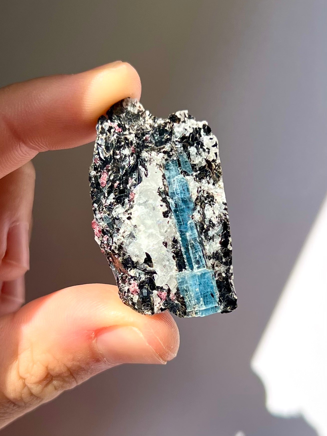 Spécimen Cyanite / Grenat / Biotite / Albite / Quartz 1