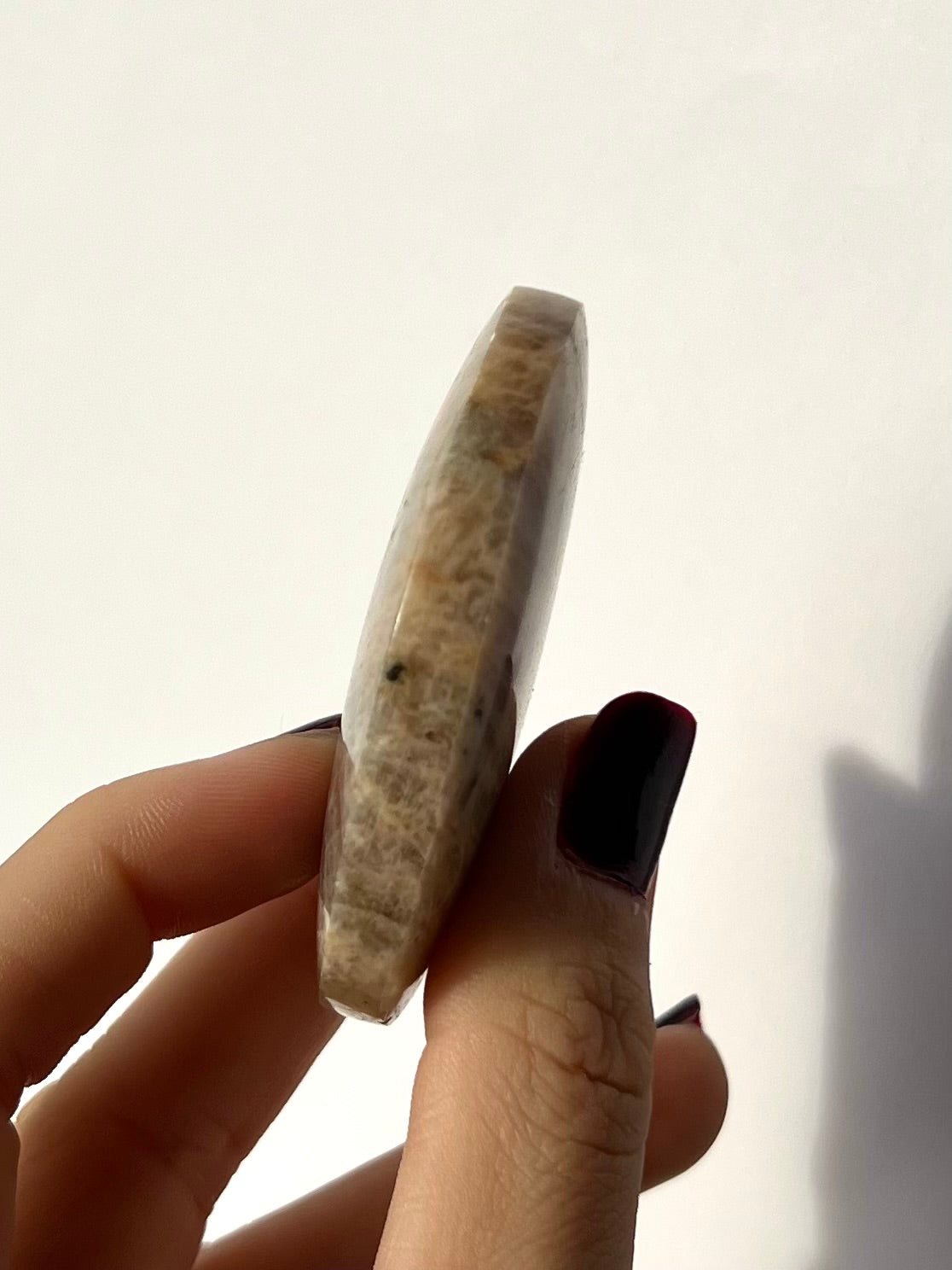 Galet de Pierre de Lune bleutée 11