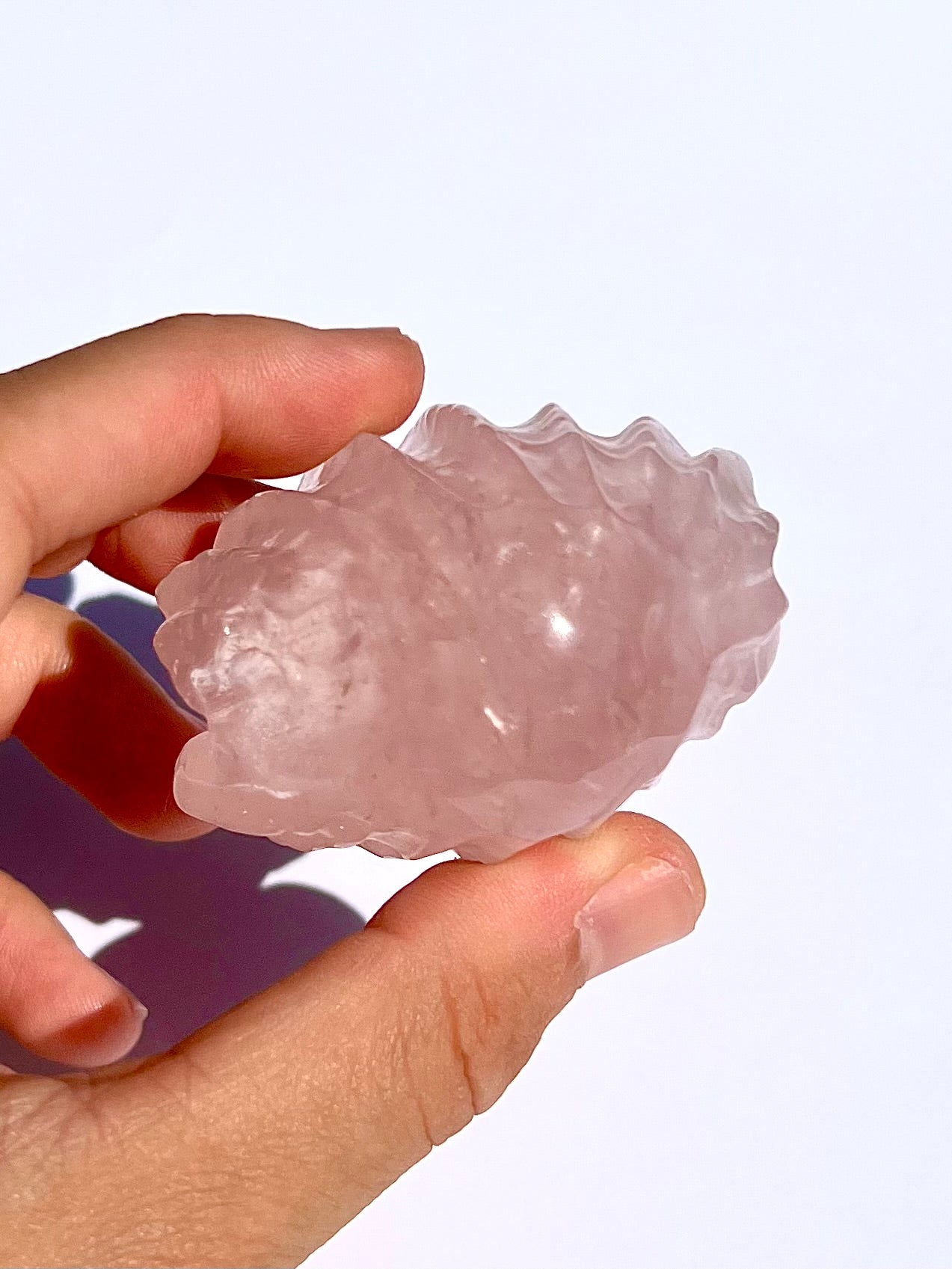 Coquillage en Quartz rose 1