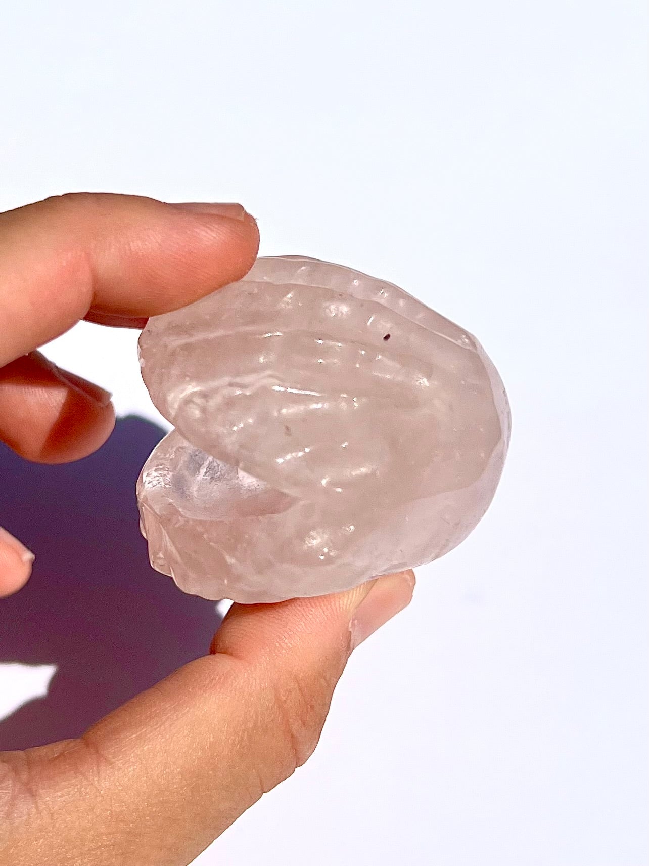 Coquillage en Quartz rose 2
