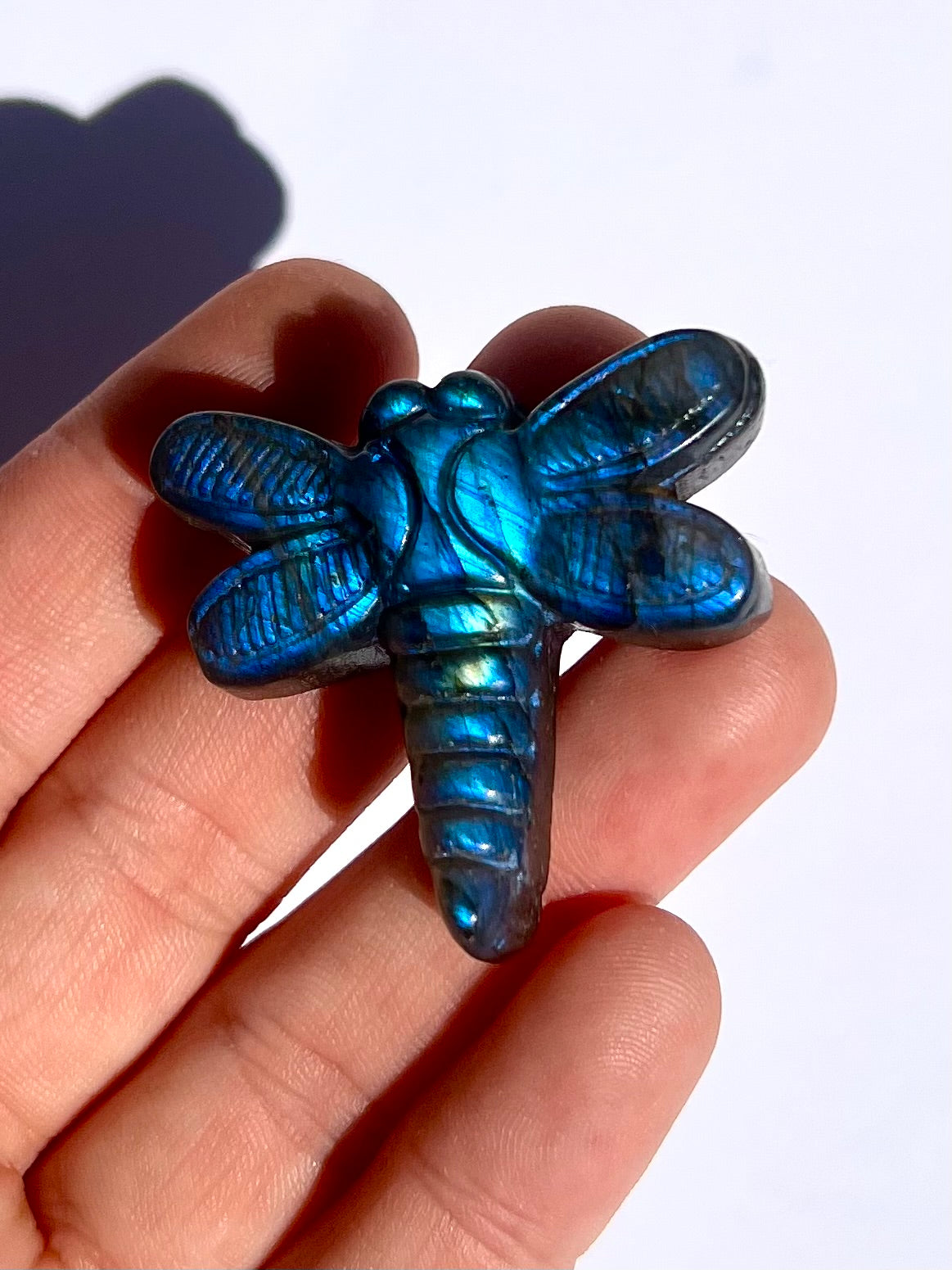 Libellule en Labradorite 3