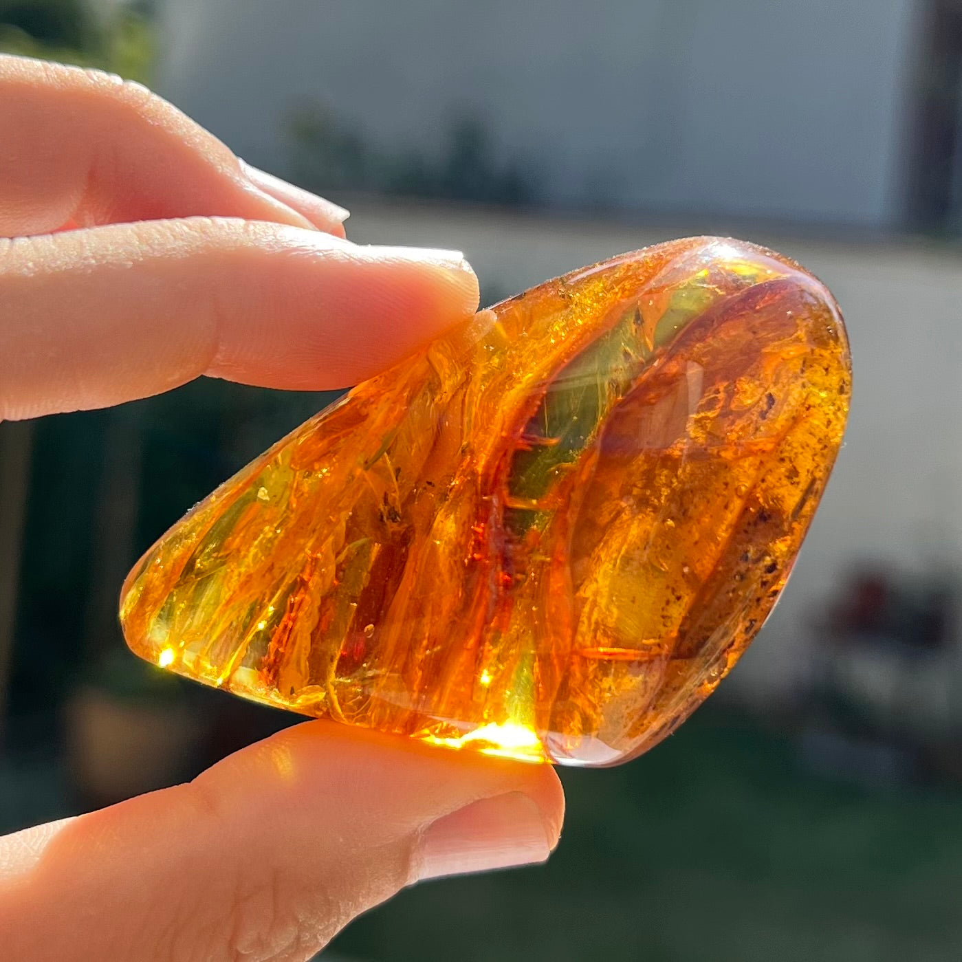 Ambre avec insecte 5
