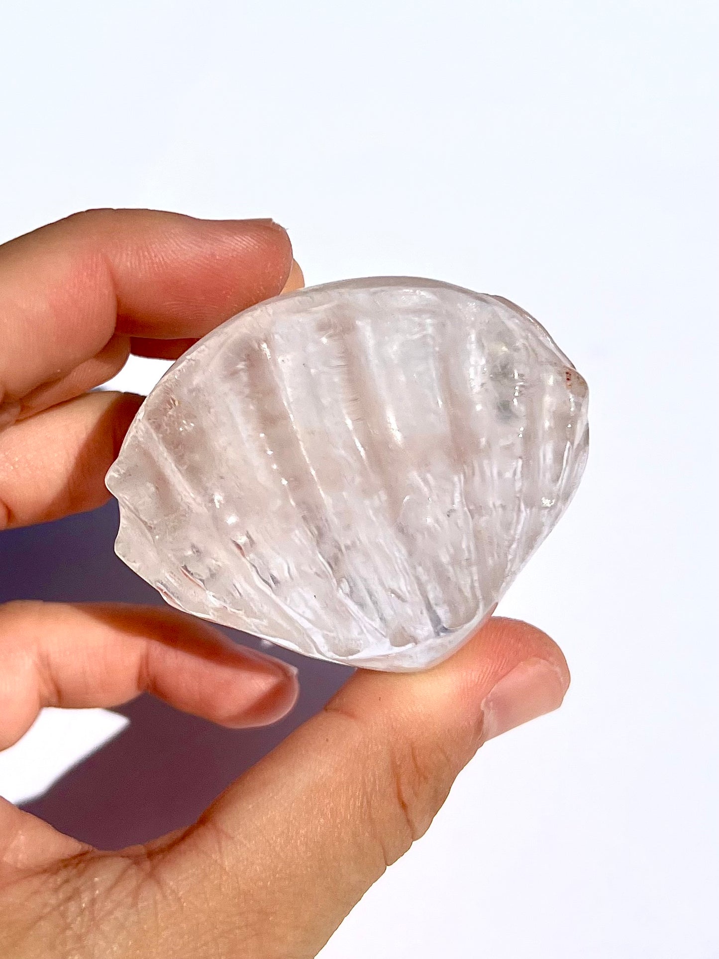 Coquillage en Cristal de roche 2