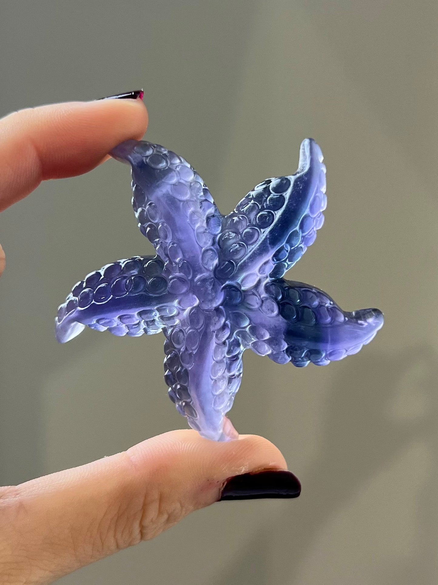 Étoile de mer en Fluorite 4