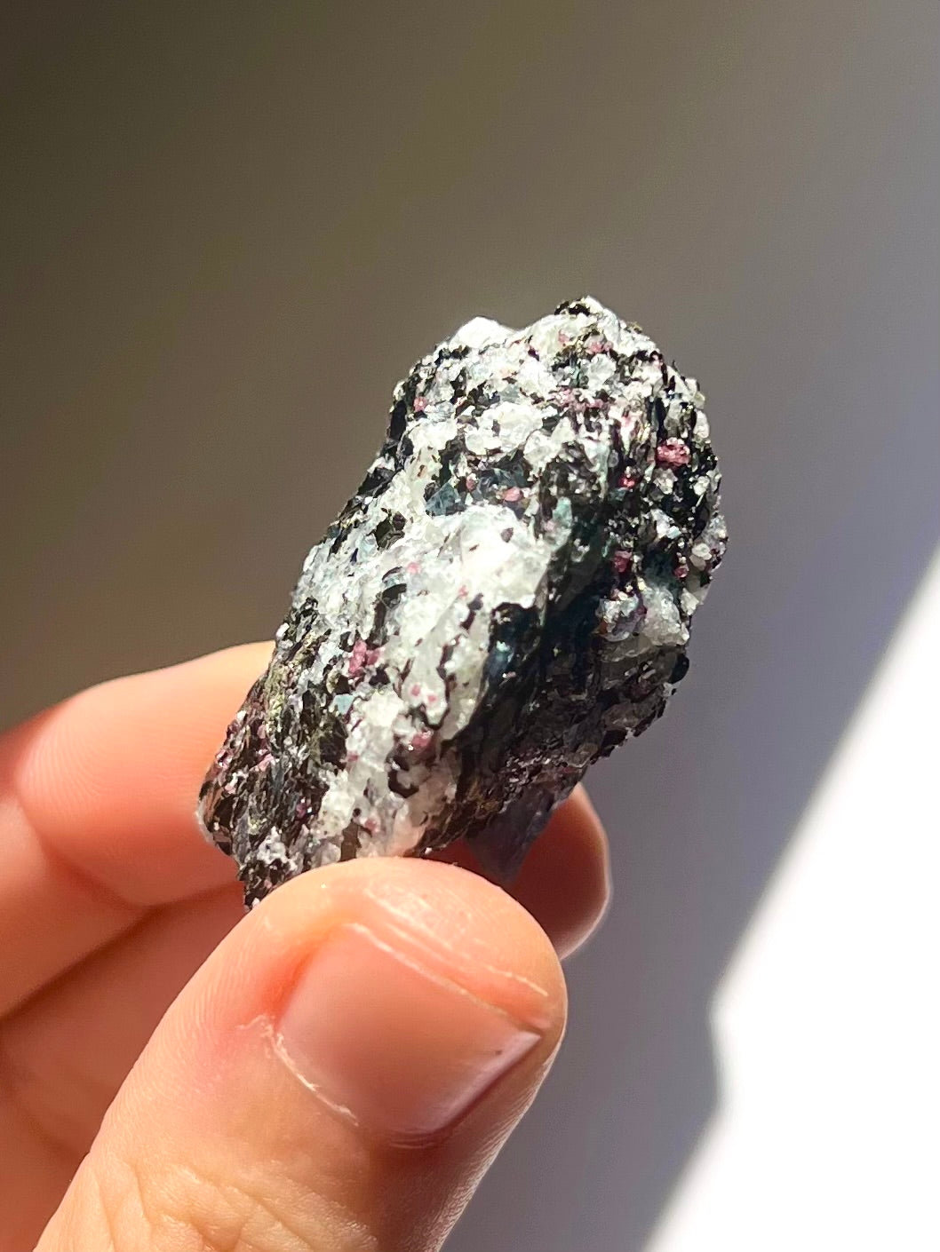 Spécimen Cyanite / Grenat / Biotite / Albite / Quartz 11