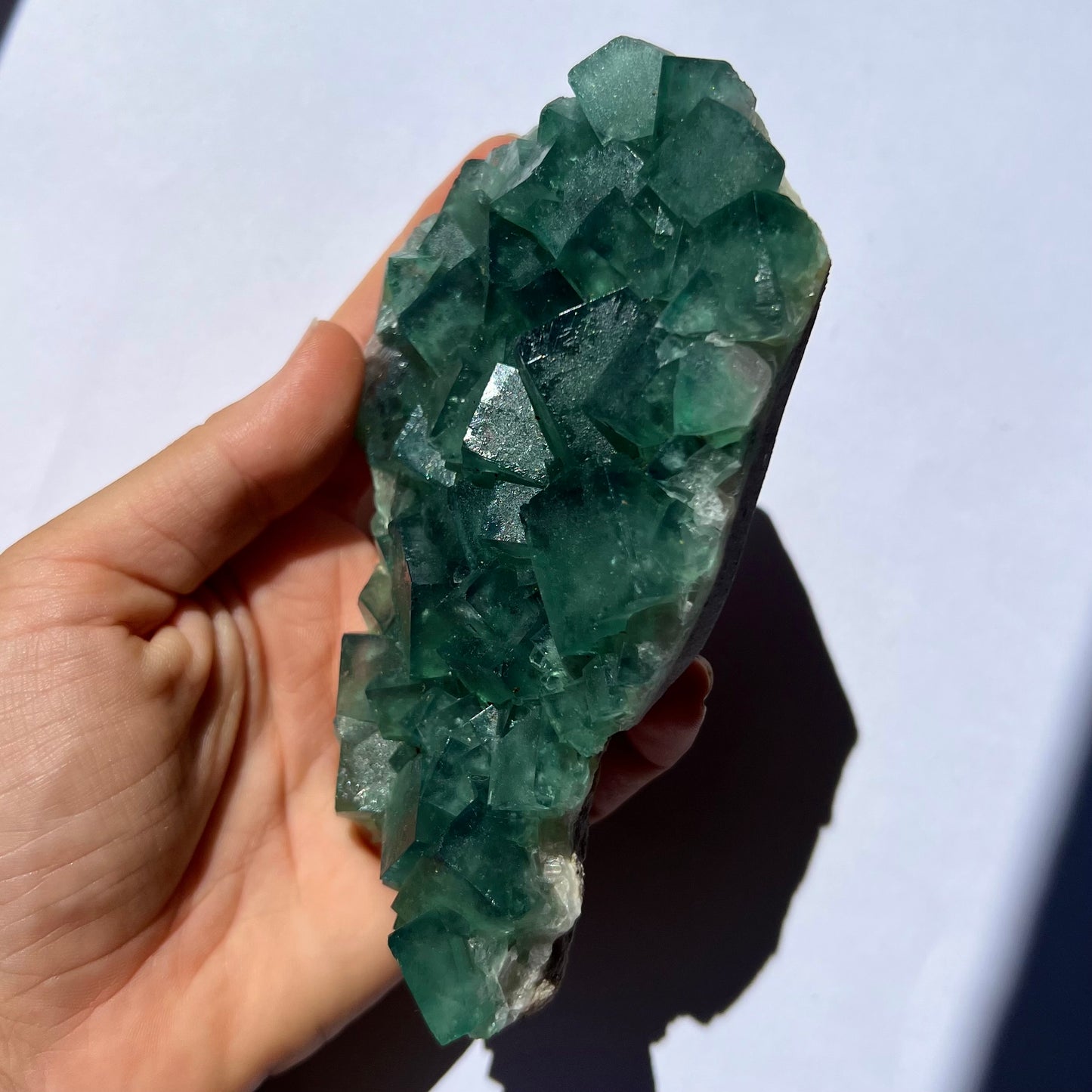 Fluorite brute 1