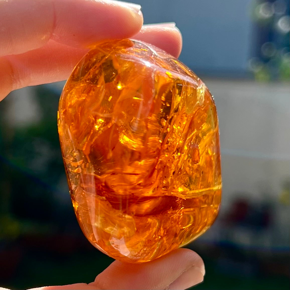 Ambre 1