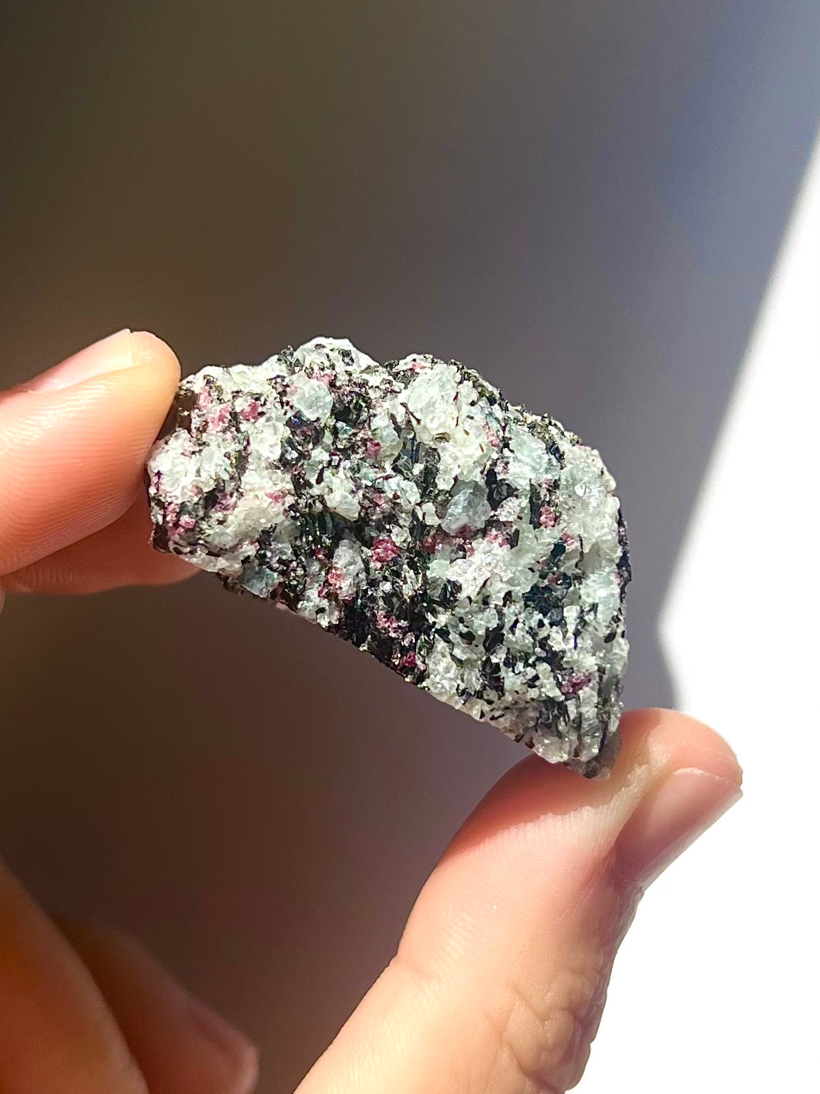 Spécimen Cyanite / Grenat / Biotite / Albite / Quartz 9