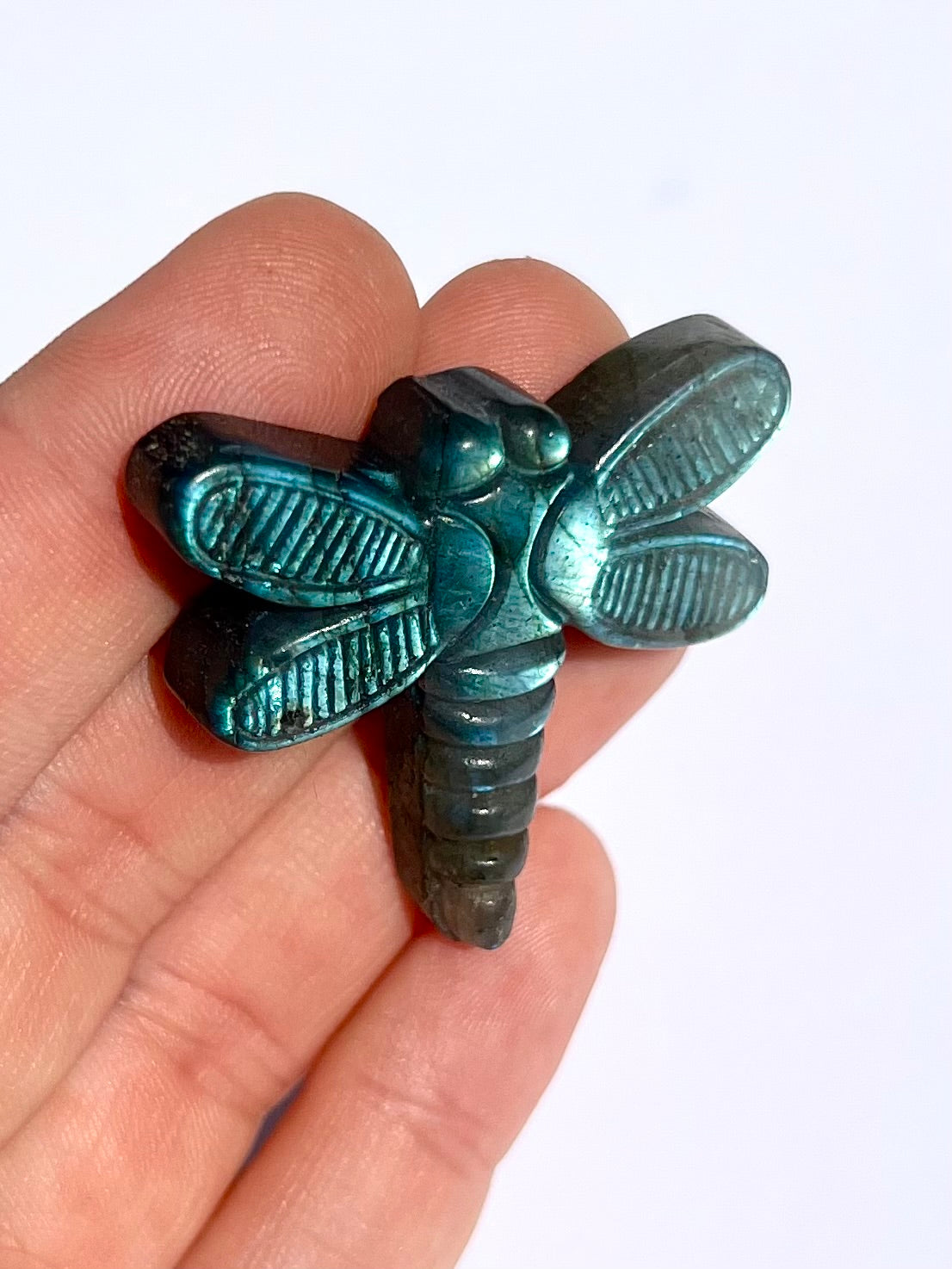Libellule en Labradorite 2