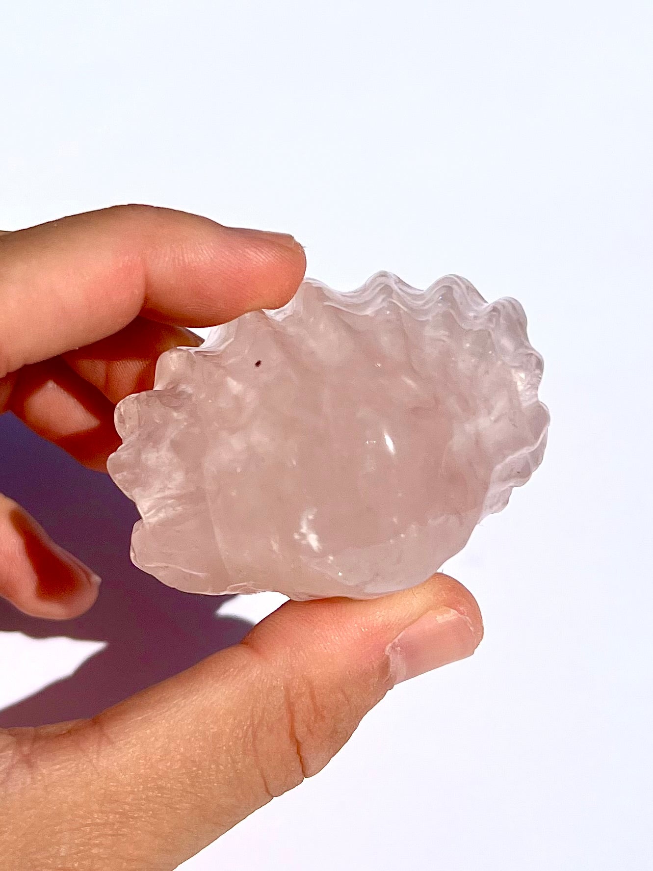 Coquillage en Quartz rose 2