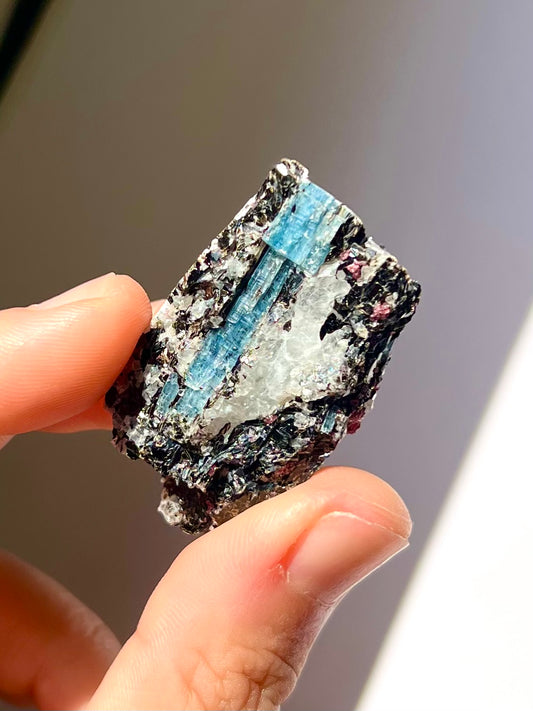 Spécimen Cyanite / Grenat / Biotite / Albite / Quartz 1