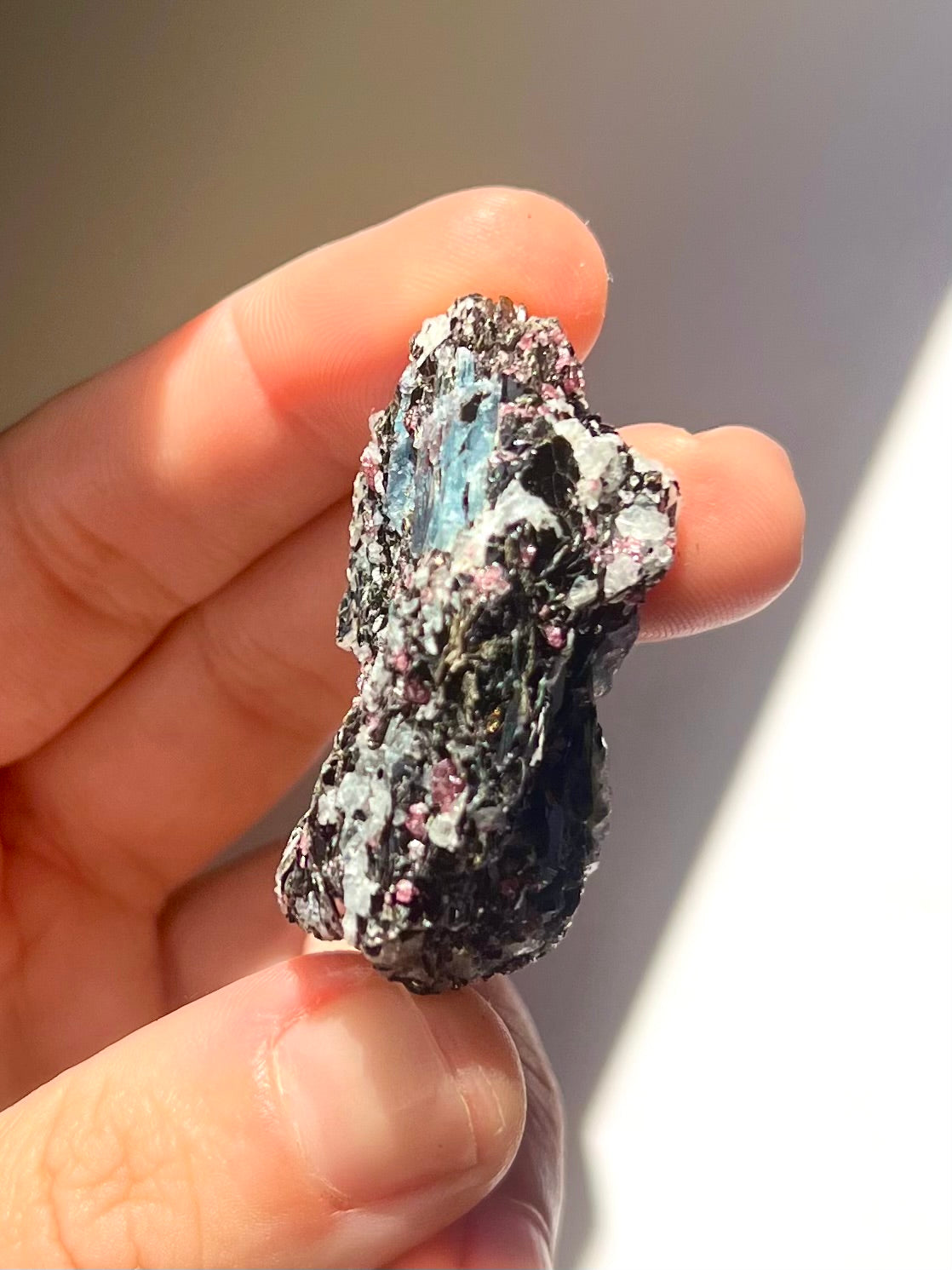Spécimen Cyanite / Grenat / Biotite / Albite / Quartz 12