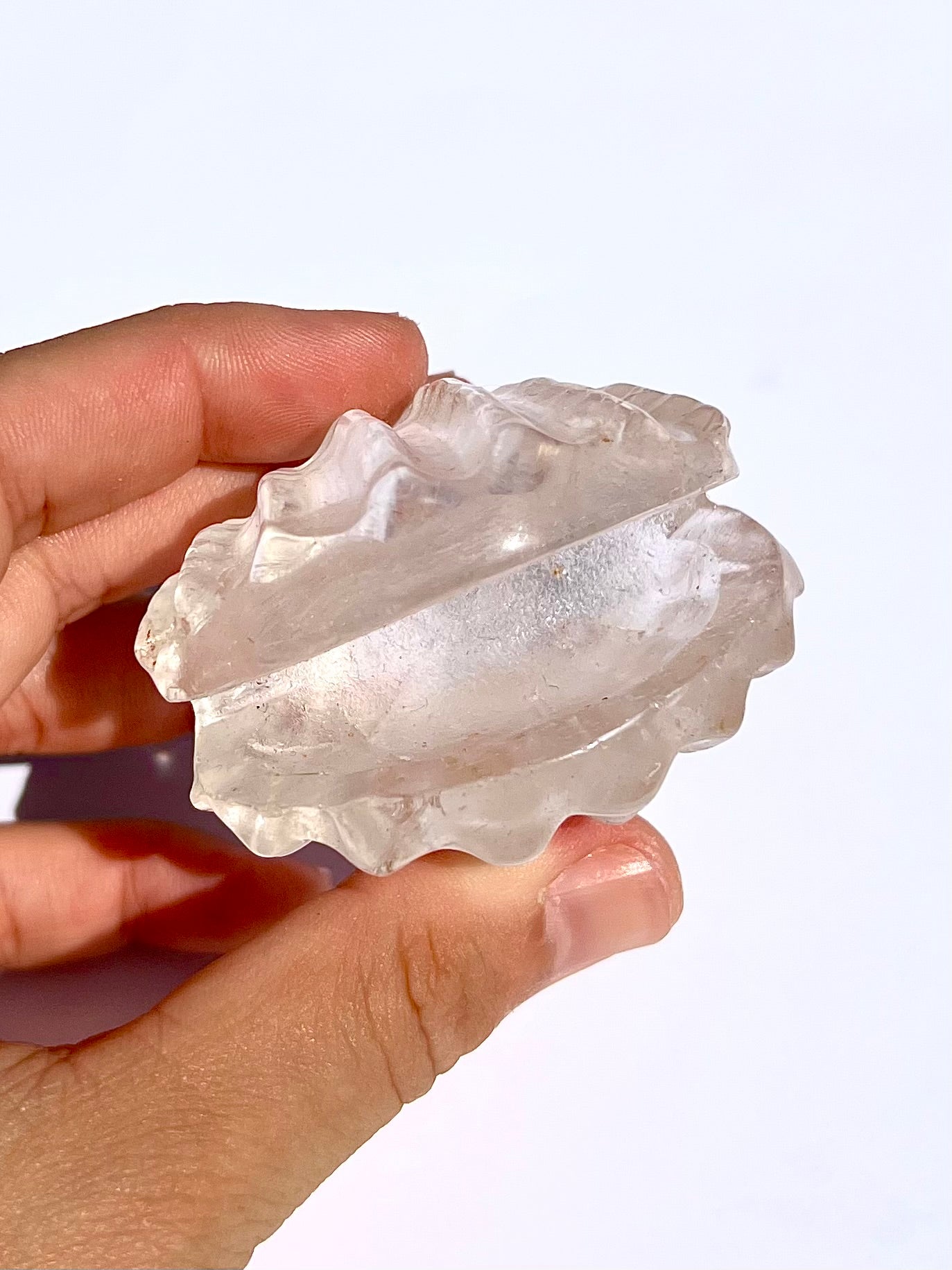 Coquillage en Cristal de roche 2