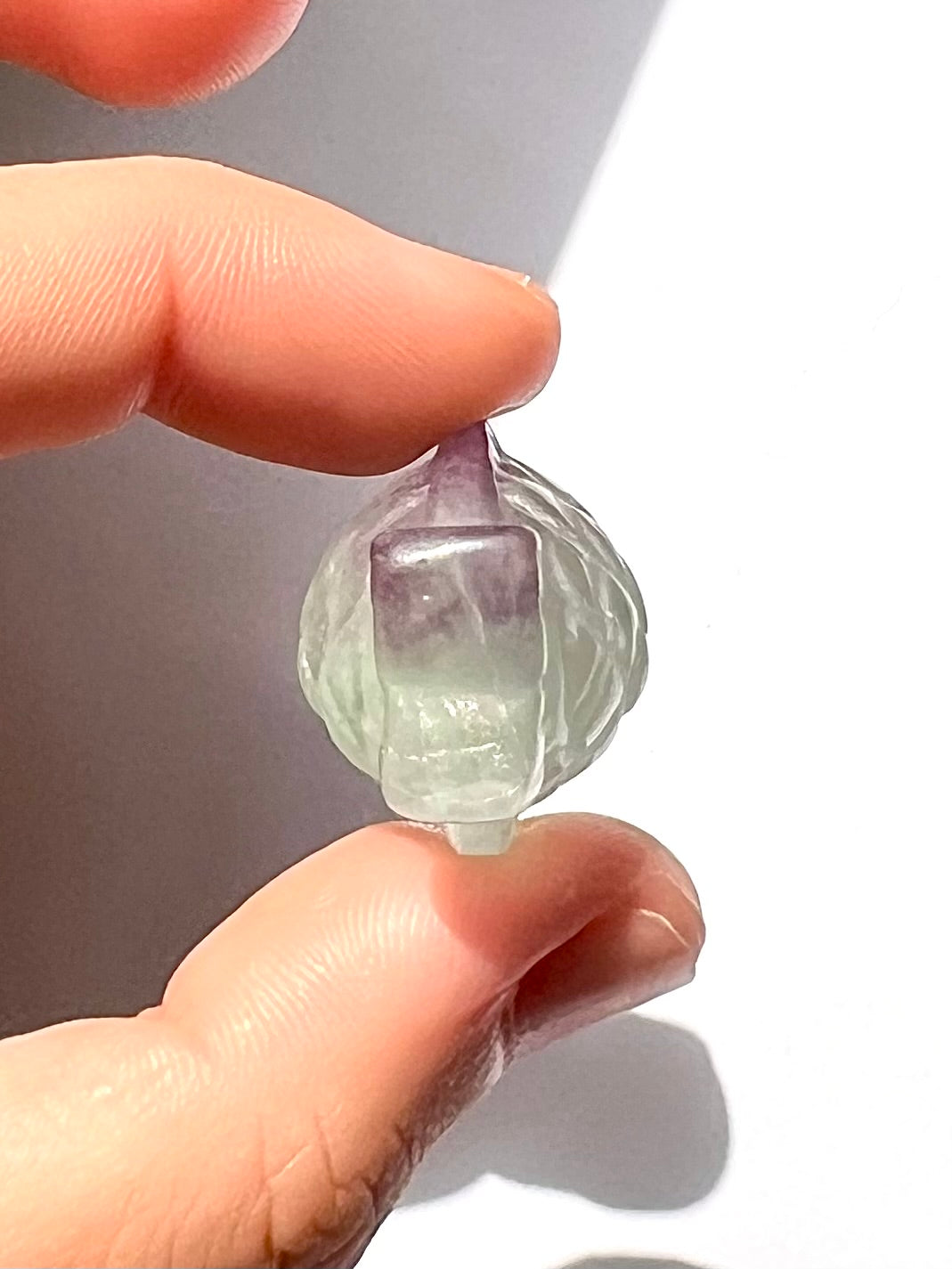 Poisson de Fluorite 2