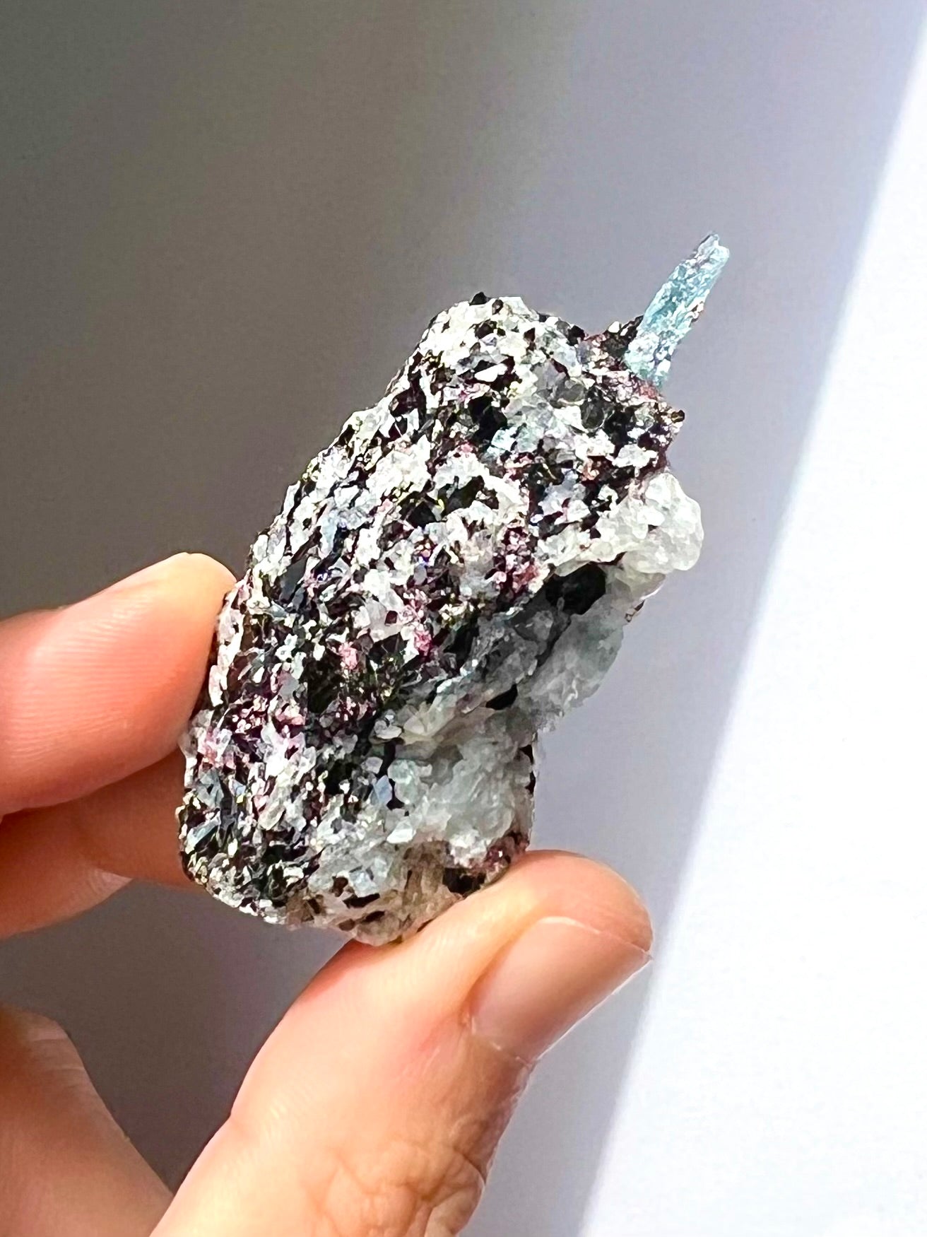 Spécimen Cyanite / Grenat / Biotite / Albite / Quartz 6