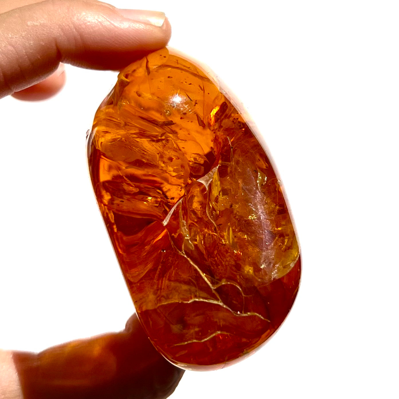 Ambre 1
