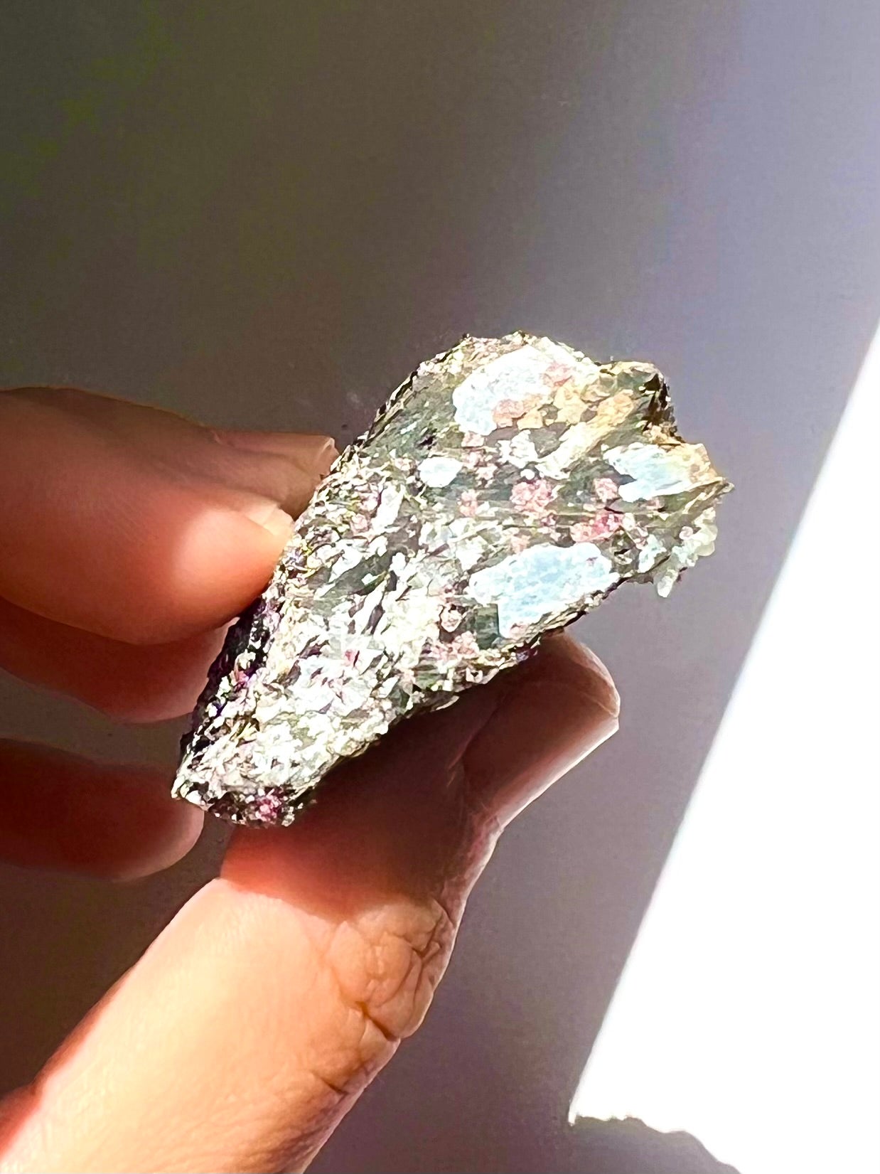 Spécimen Cyanite / Grenat / Biotite / Albite / Quartz 2