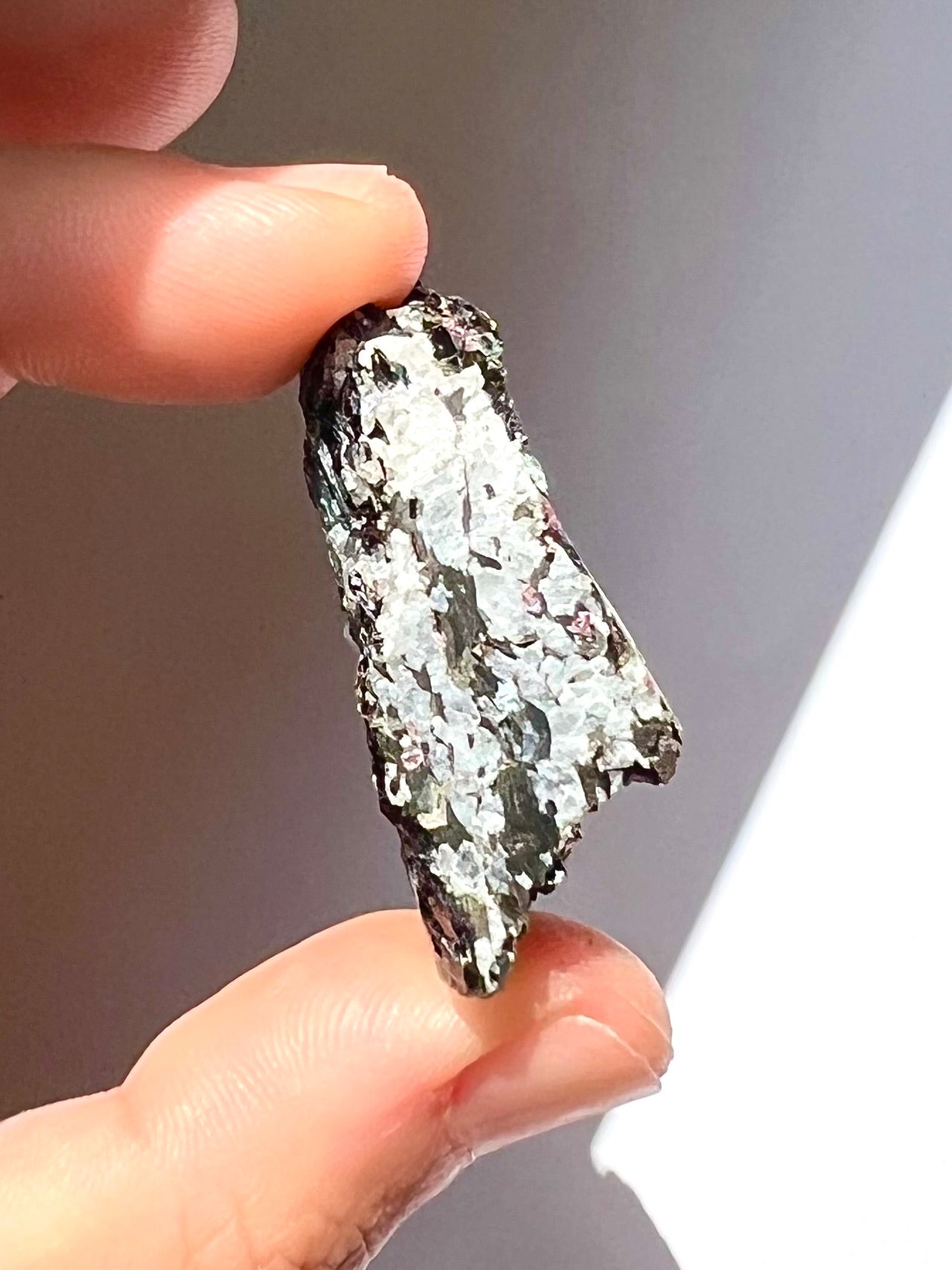 Spécimen Cyanite / Grenat / Biotite / Albite / Quartz 1