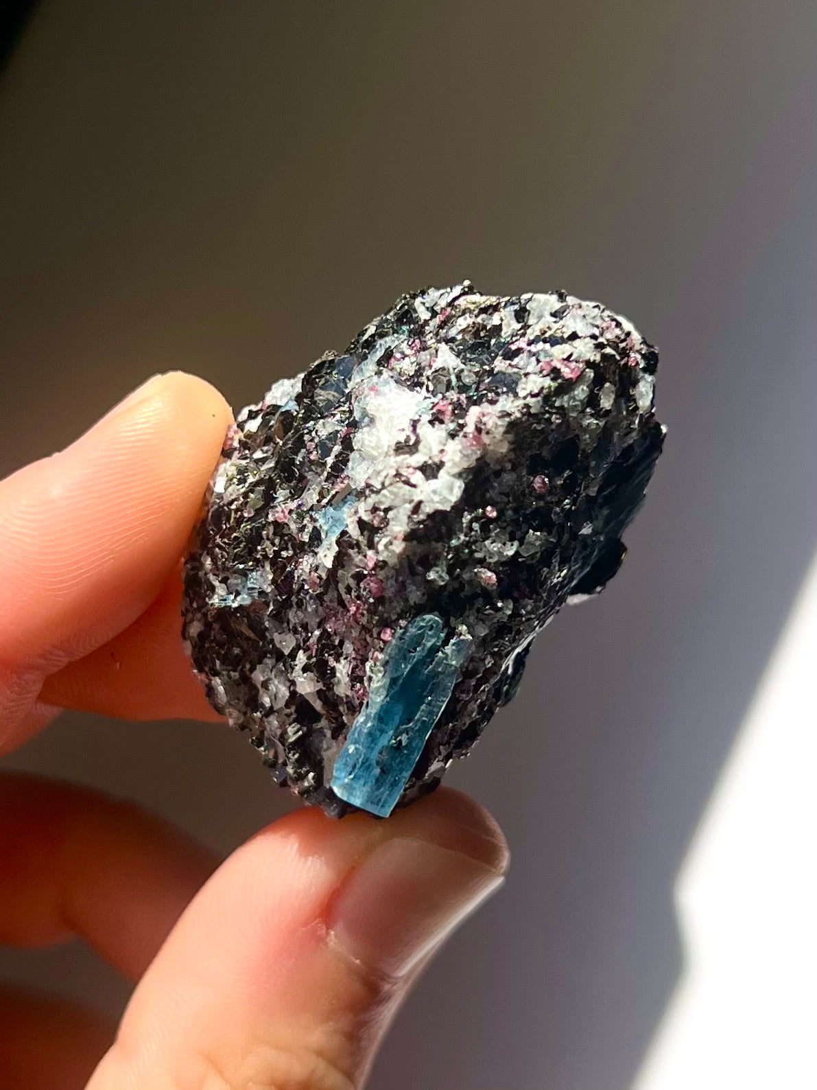Spécimen Cyanite / Grenat / Biotite / Albite / Quartz 11