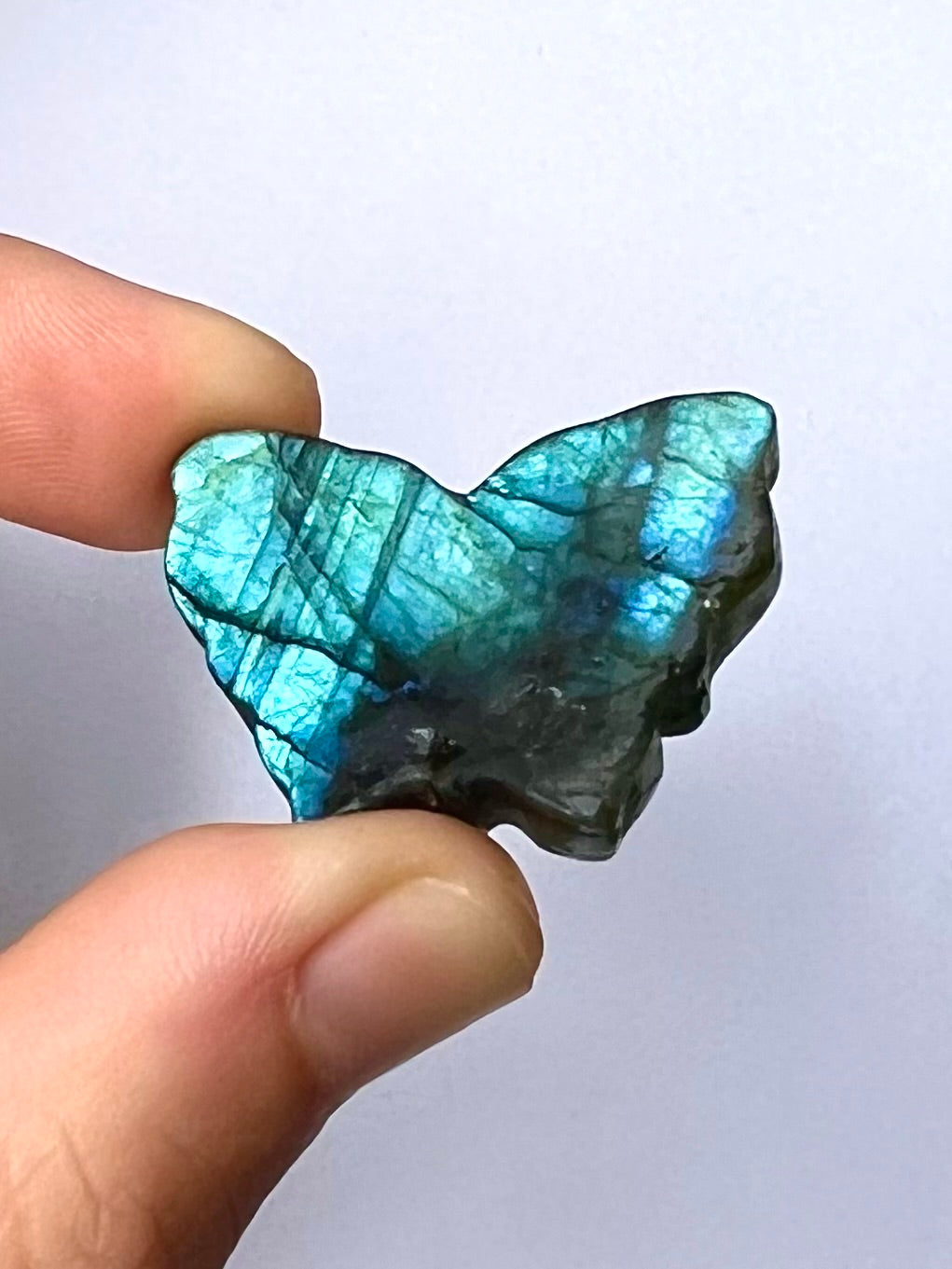 Papillon en Labradorite 4