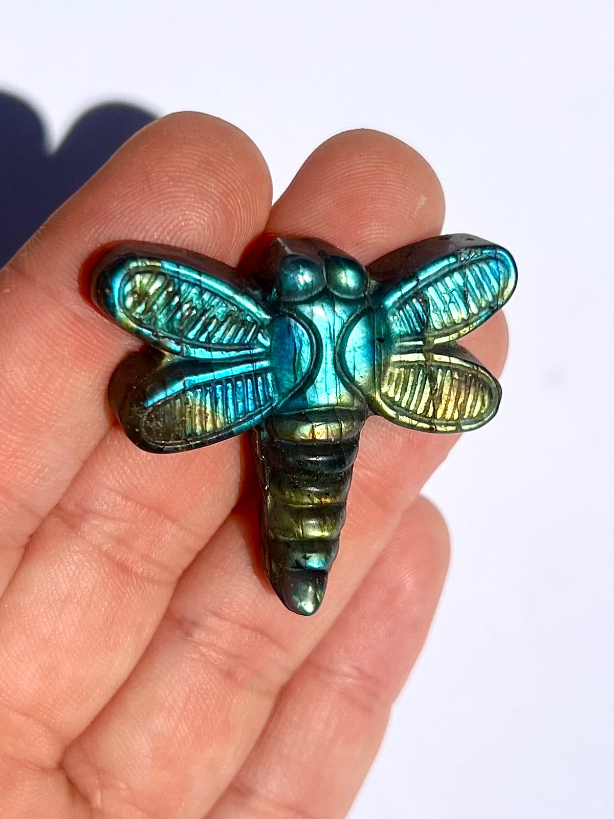 Libellule en Labradorite 5