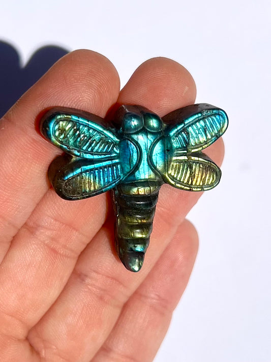 Libellule en Labradorite 5