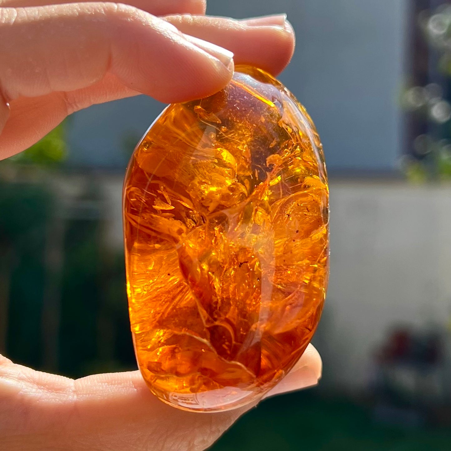Ambre 1
